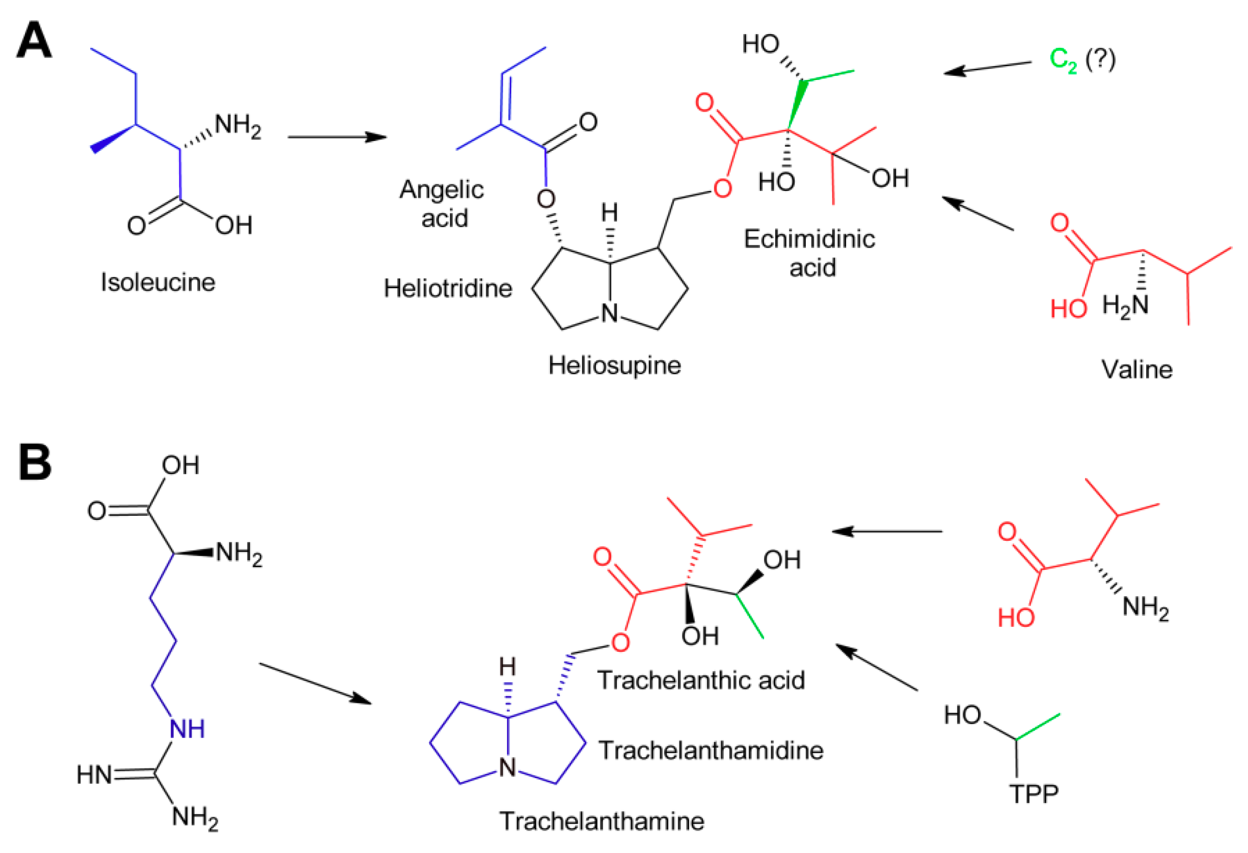 Molecules 24 00498 g012
