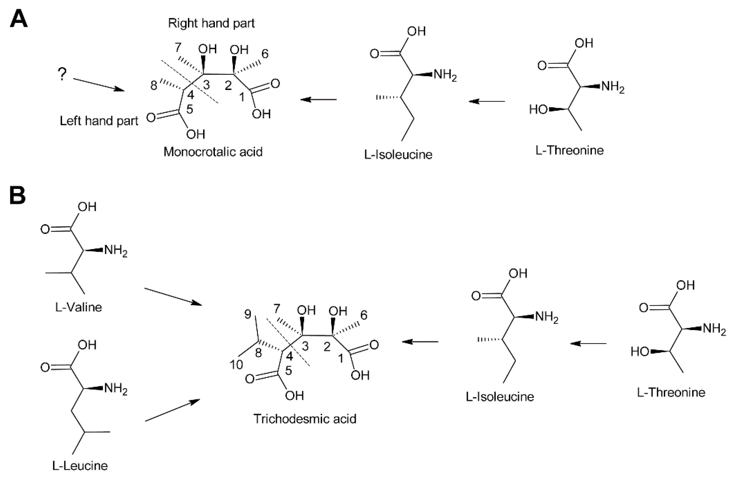 Molecules 24 00498 g013