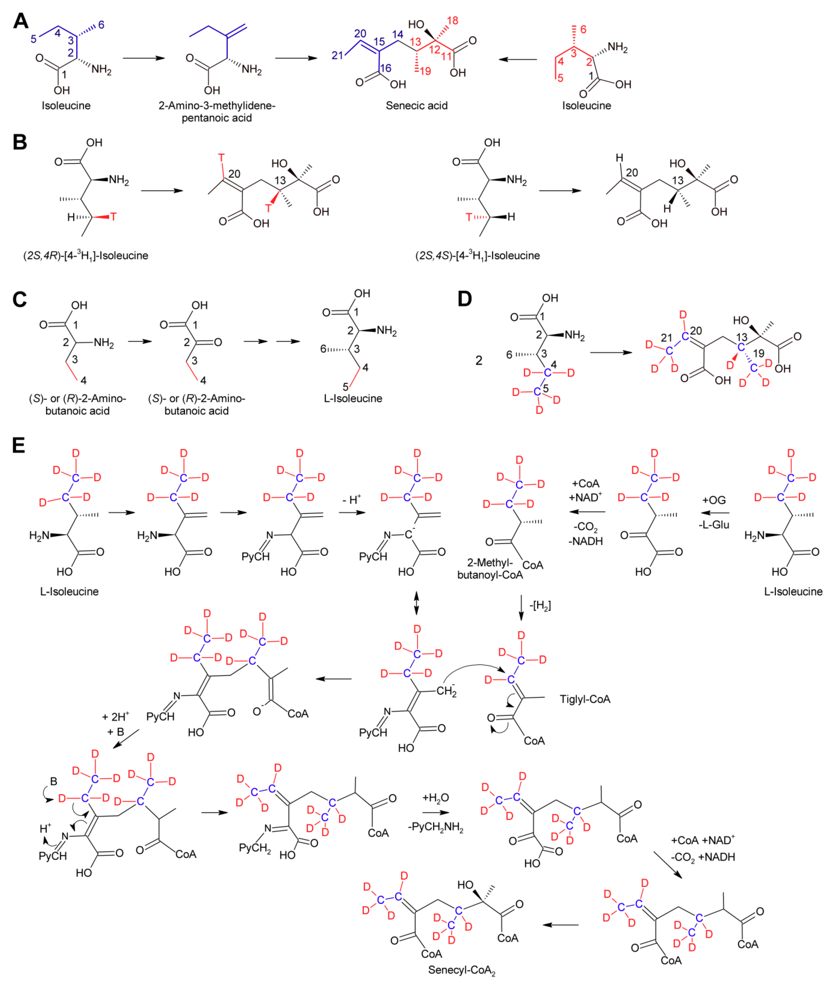 Molecules 24 00498 g014