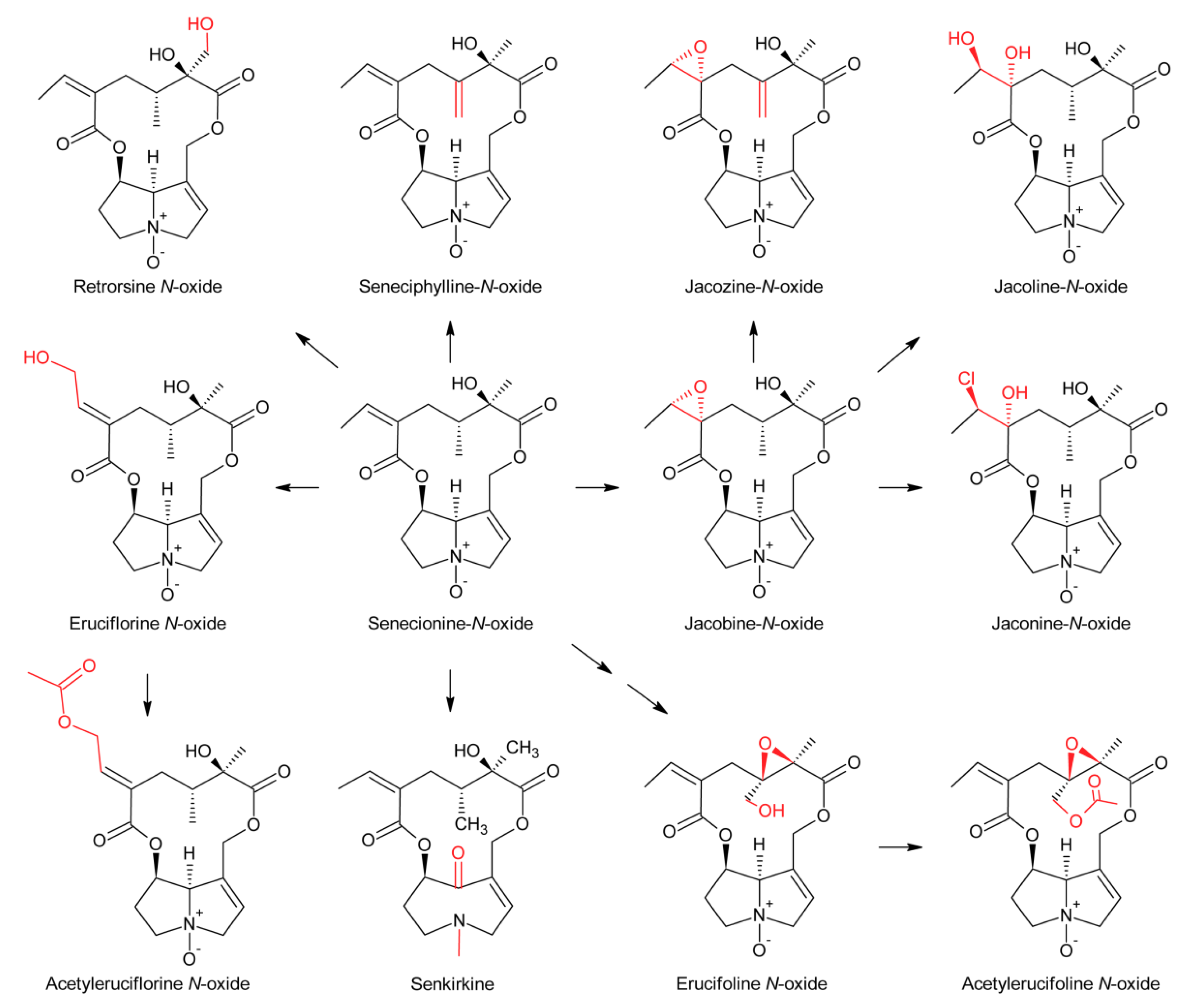 Molecules 24 00498 g015