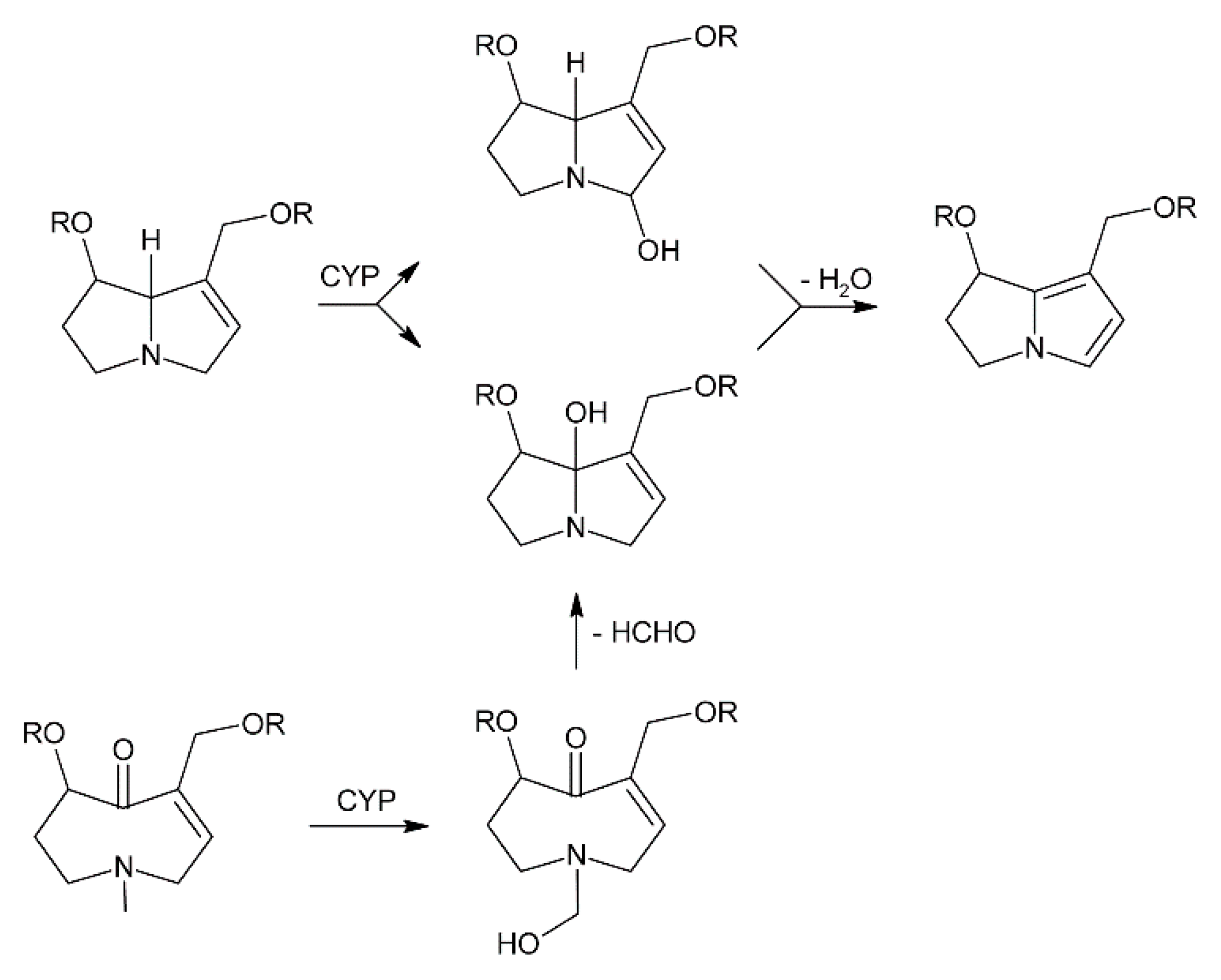 Molecules 24 00498 g016