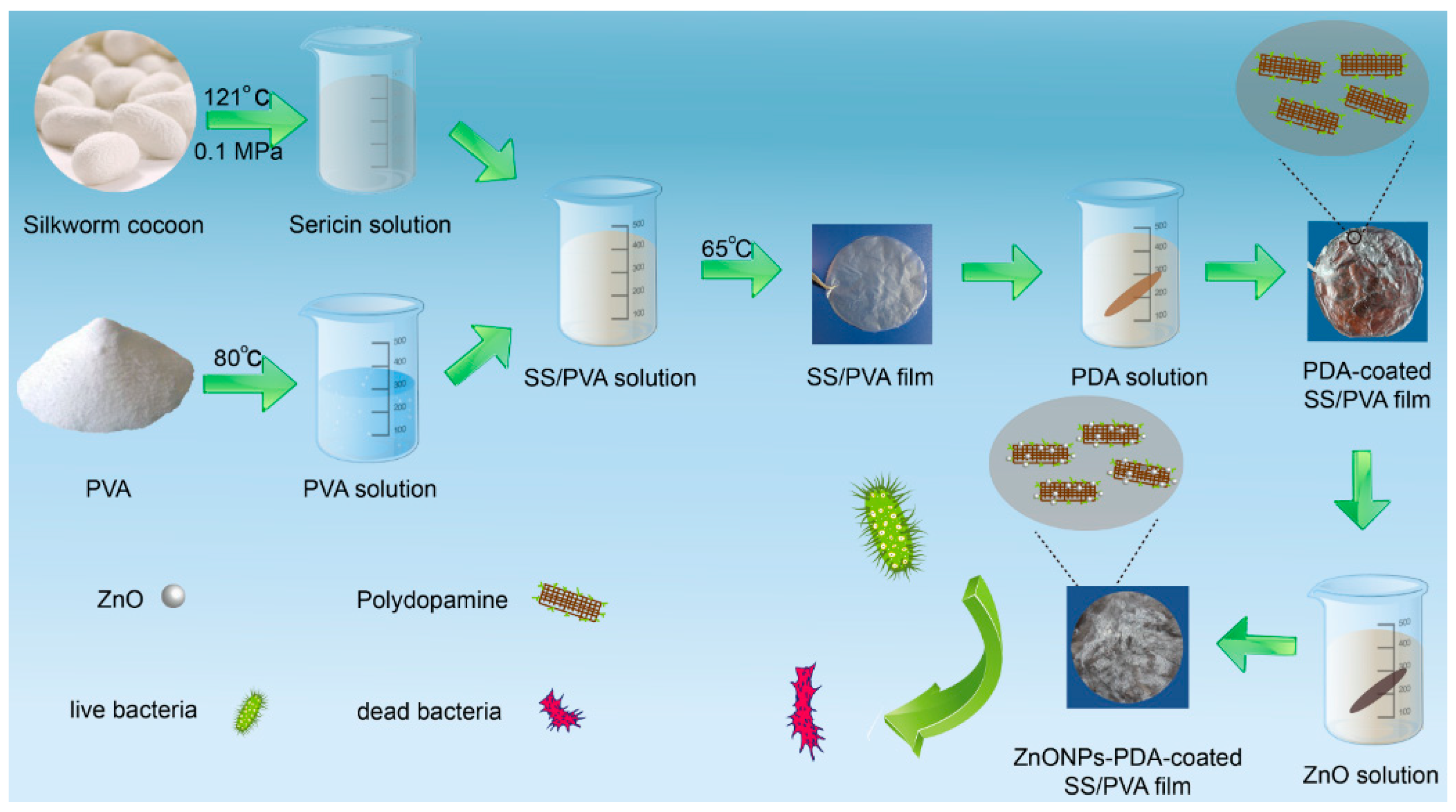Molecules 24 00503 g001
