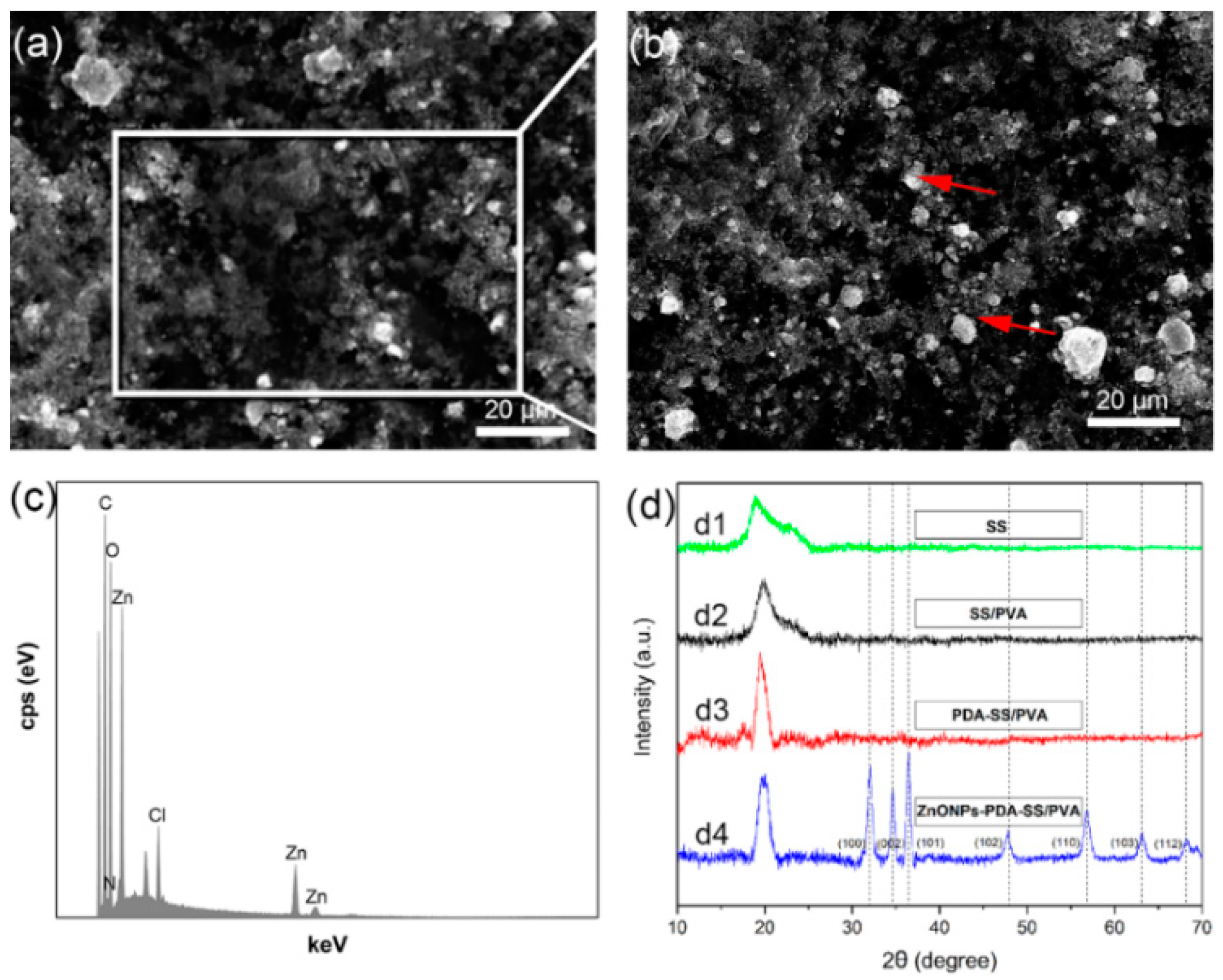 Molecules 24 00503 g003