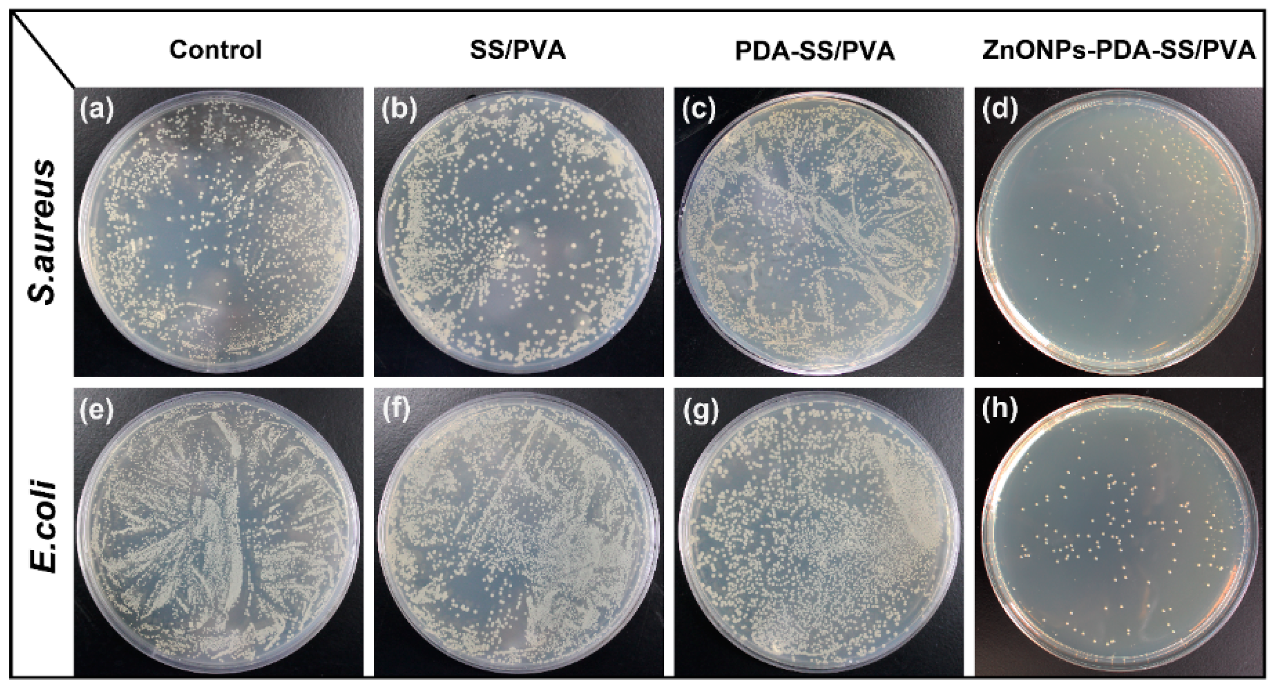 Molecules 24 00503 g008