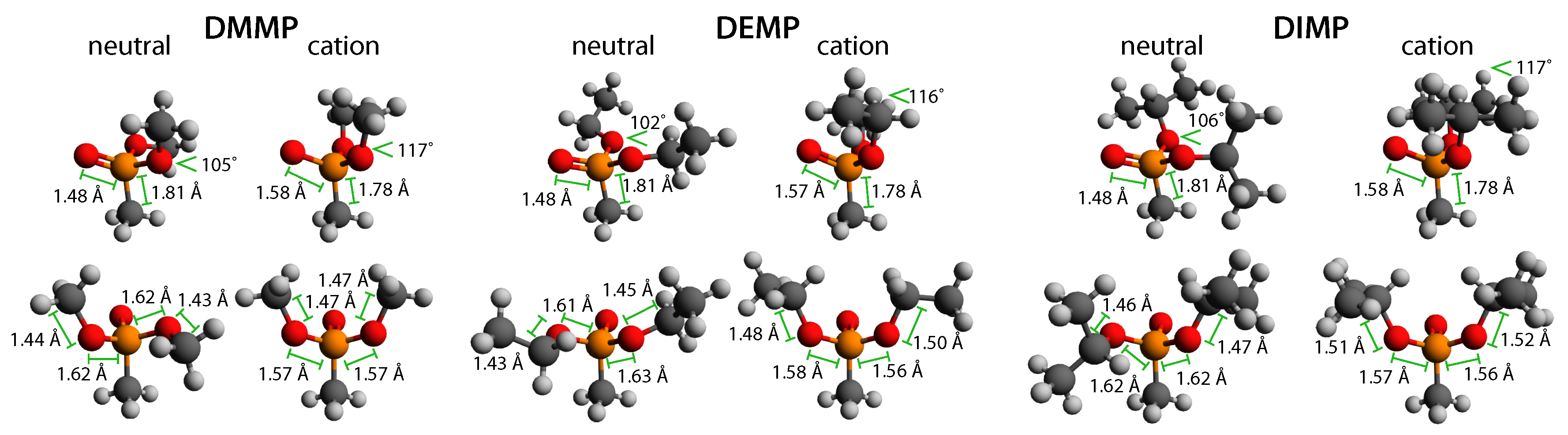 Molecules 24 00509 g006
