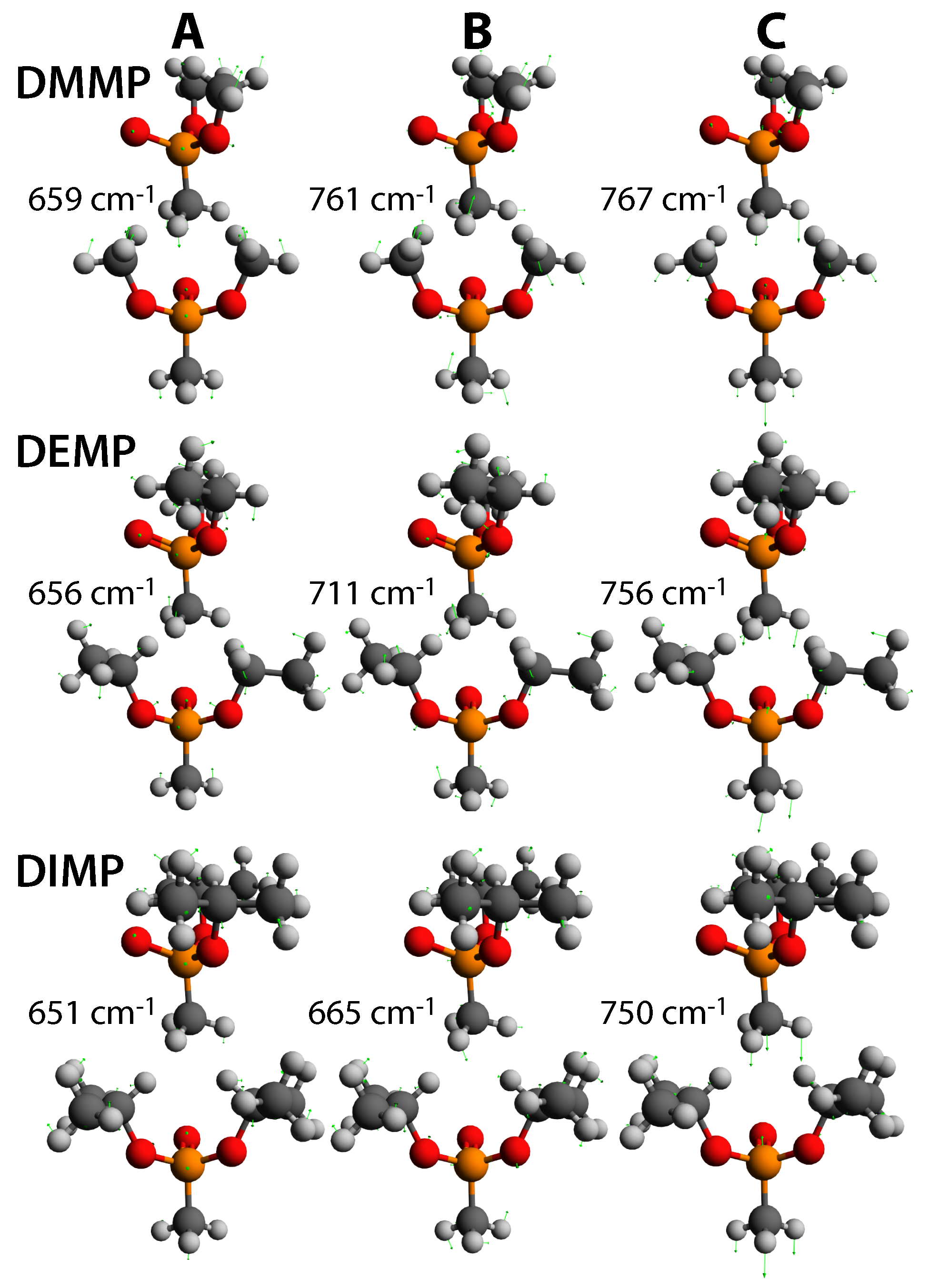 Molecules 24 00509 g007