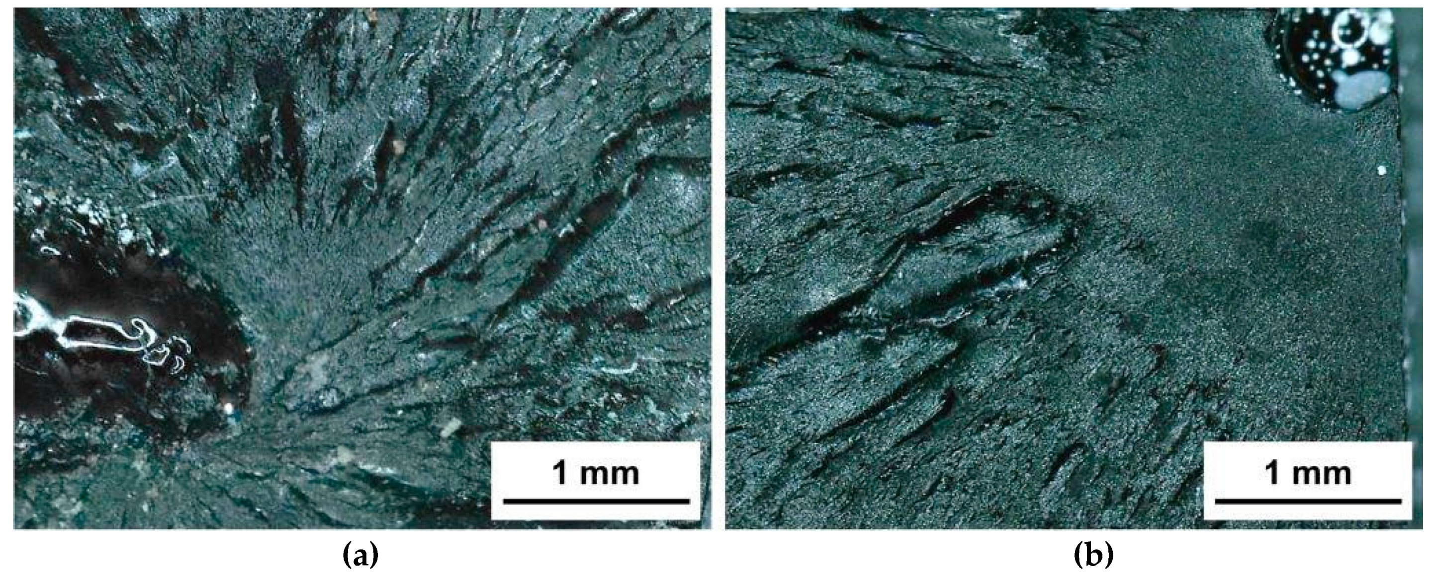 Molecules 24 00510 g003