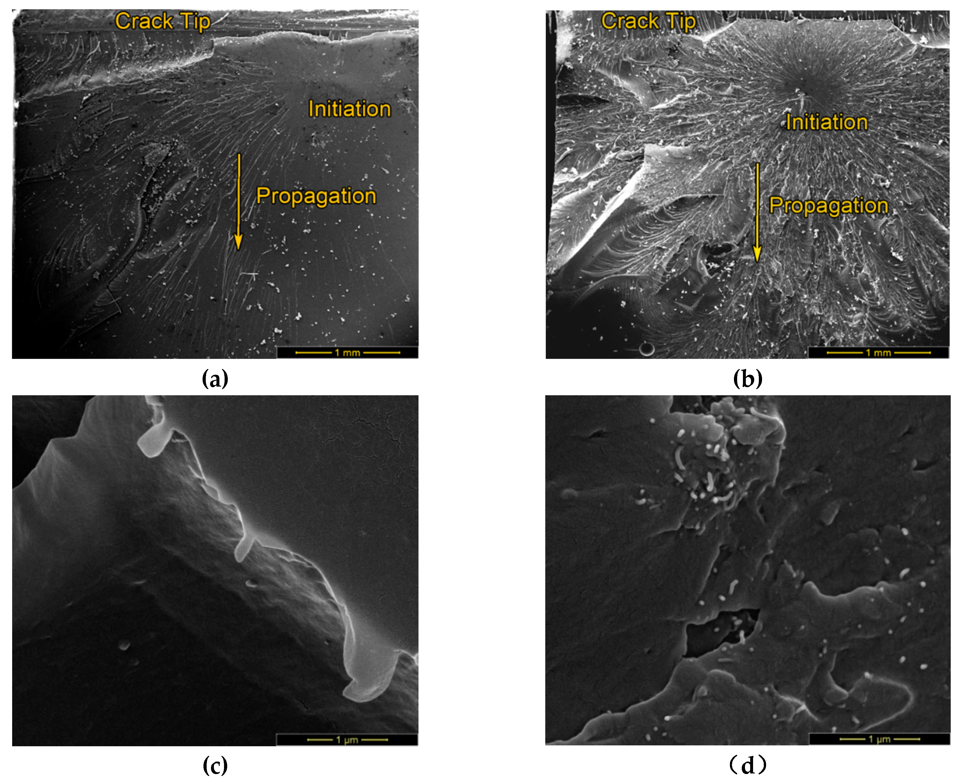 Molecules 24 00510 g005