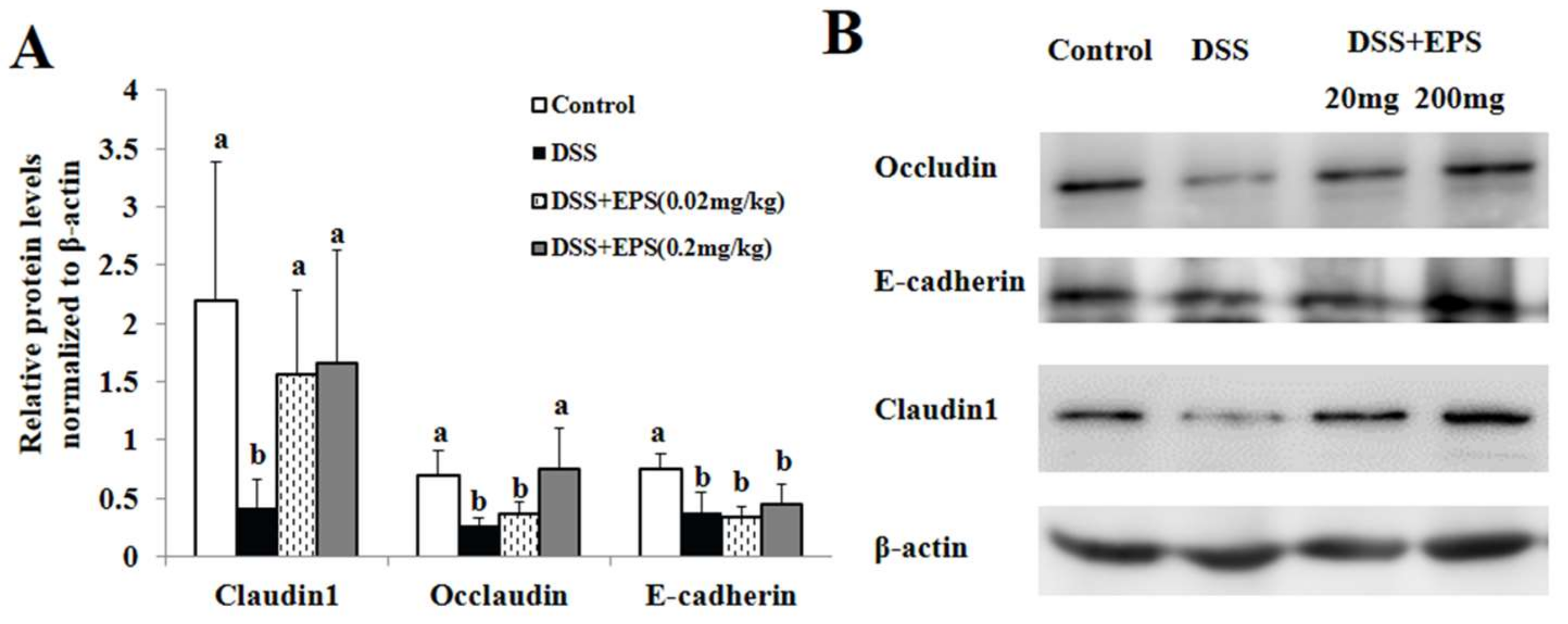 Molecules 24 00513 g004 Molecules 24 00513 g004