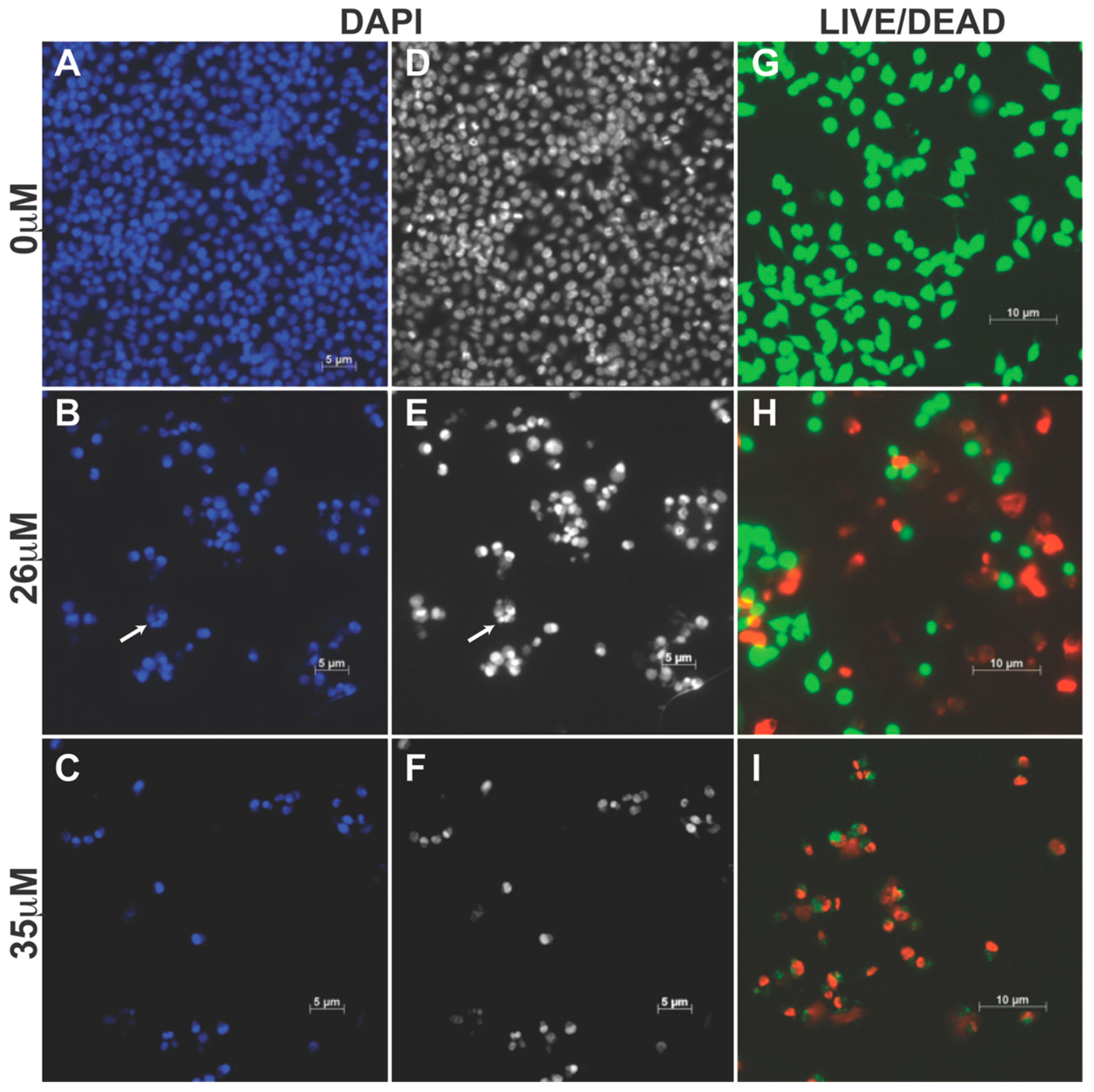 Molecules 24 00524 g003