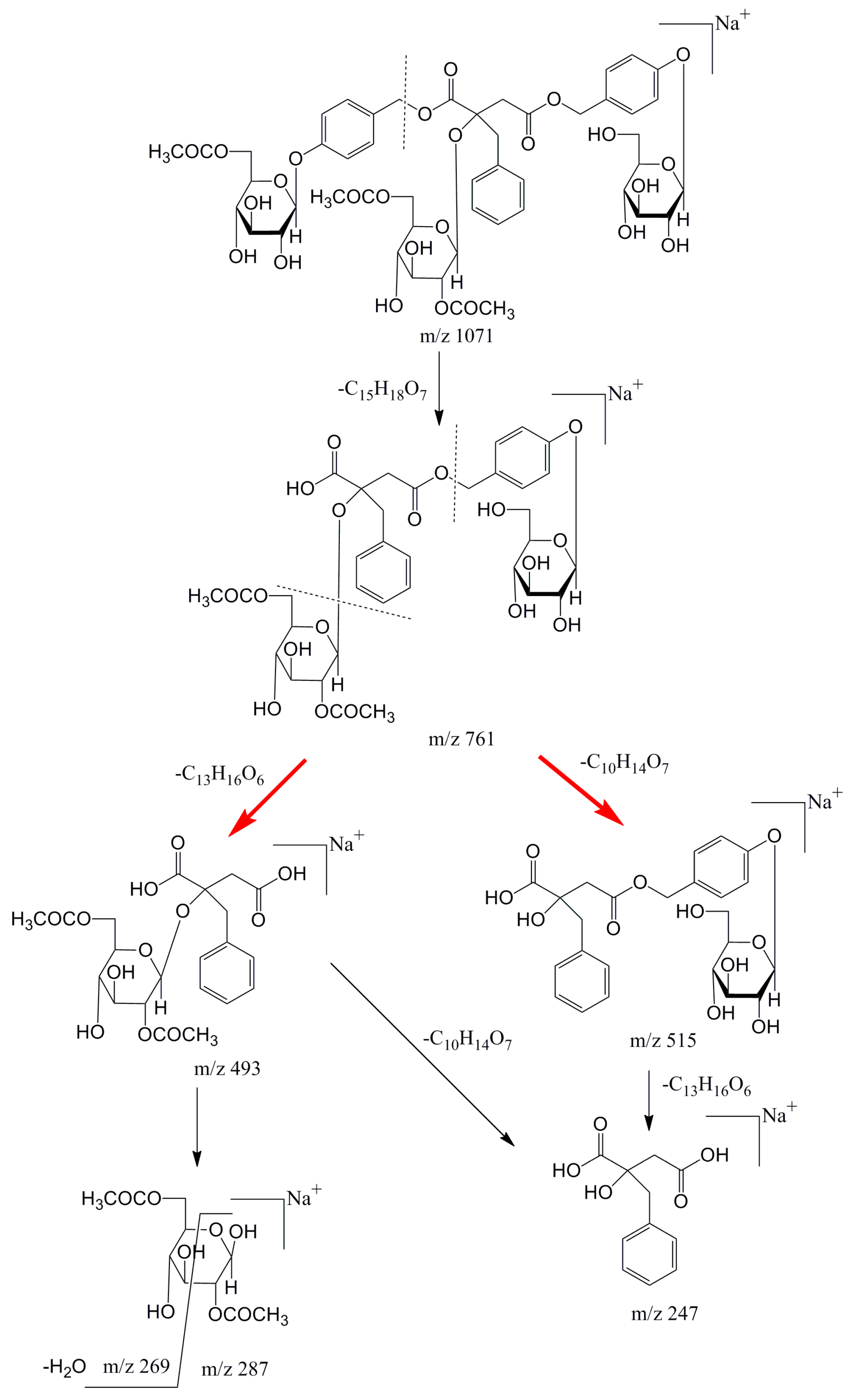 Molecules 24 00525 g004