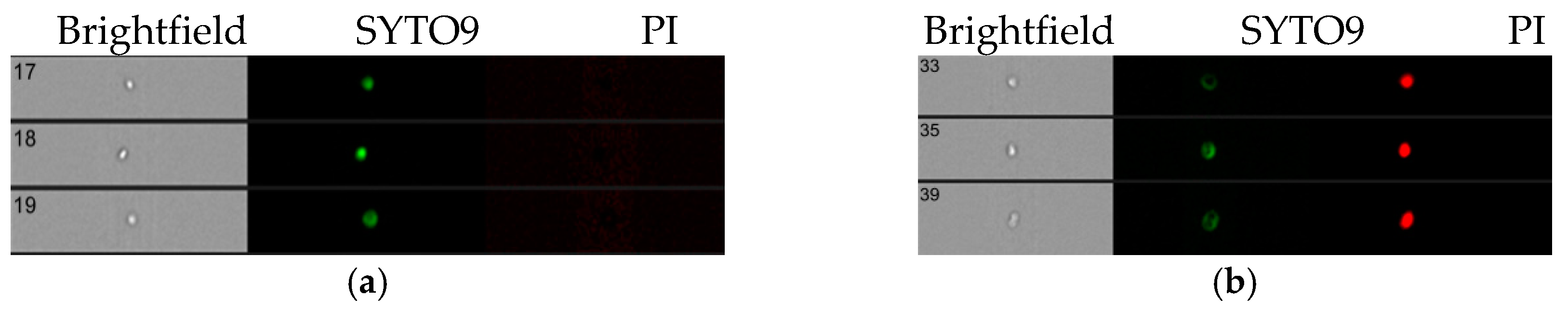 Molecules 24 00532 g003