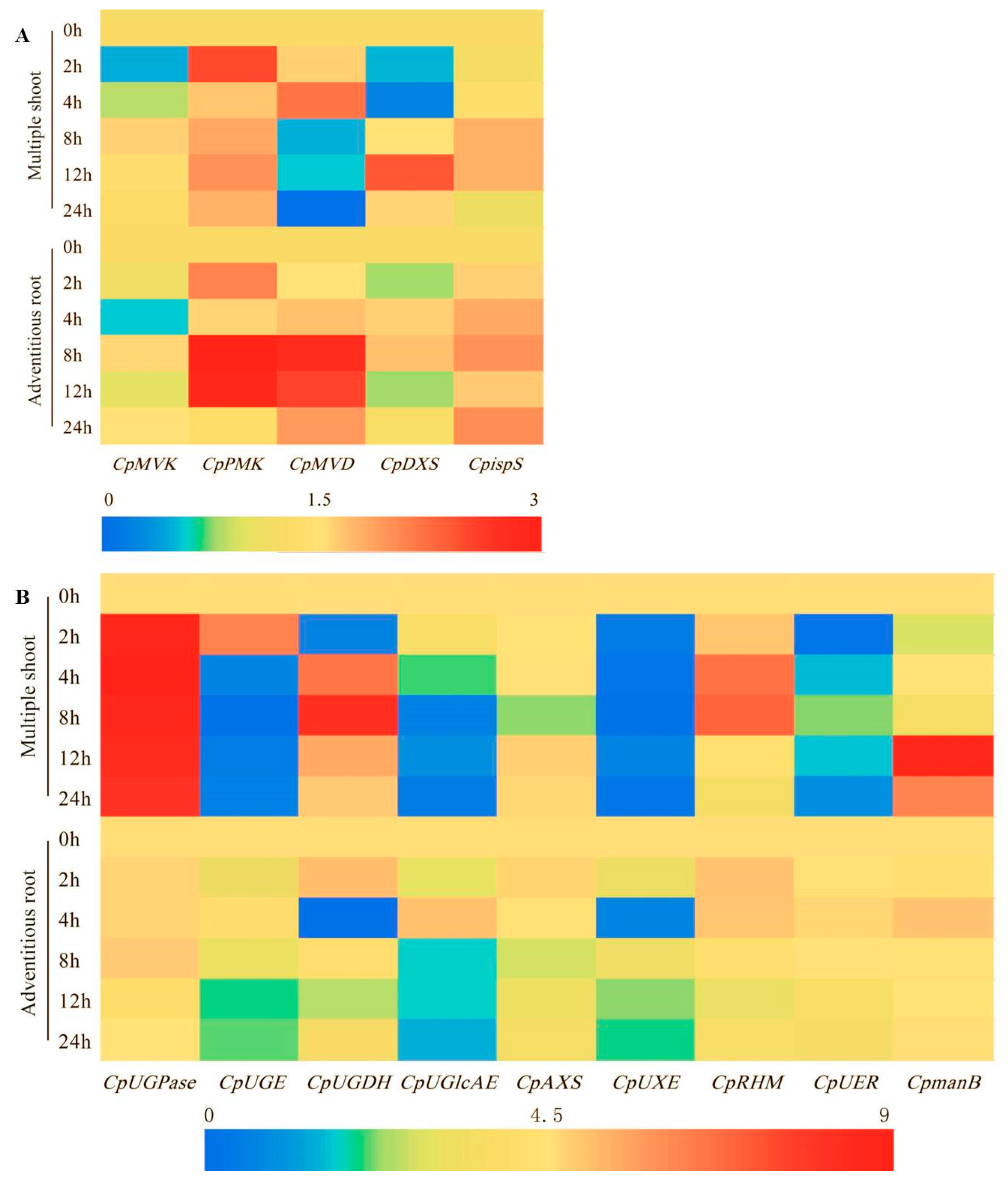 Molecules 24 00533 g009 Molecules 24 00533 g009
