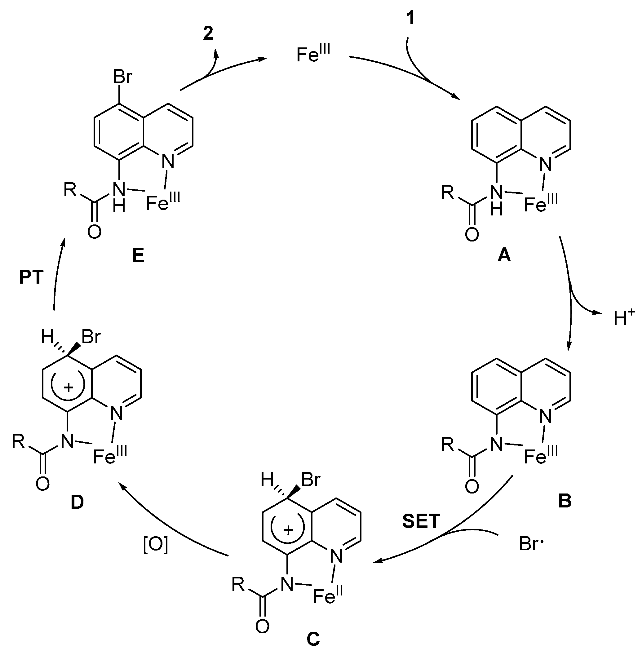 Molecules 24 00535 sch009