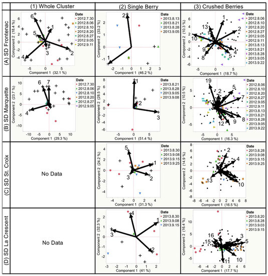 Molecules 24 00536 g0a2
