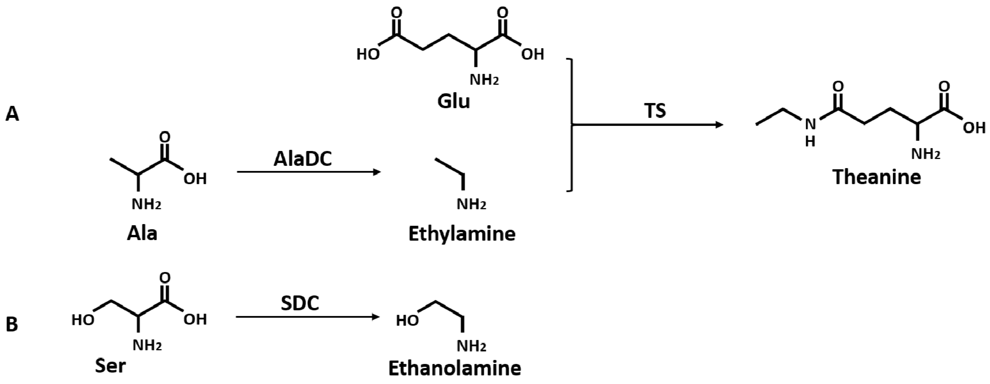 Molecules 24 00540 g001