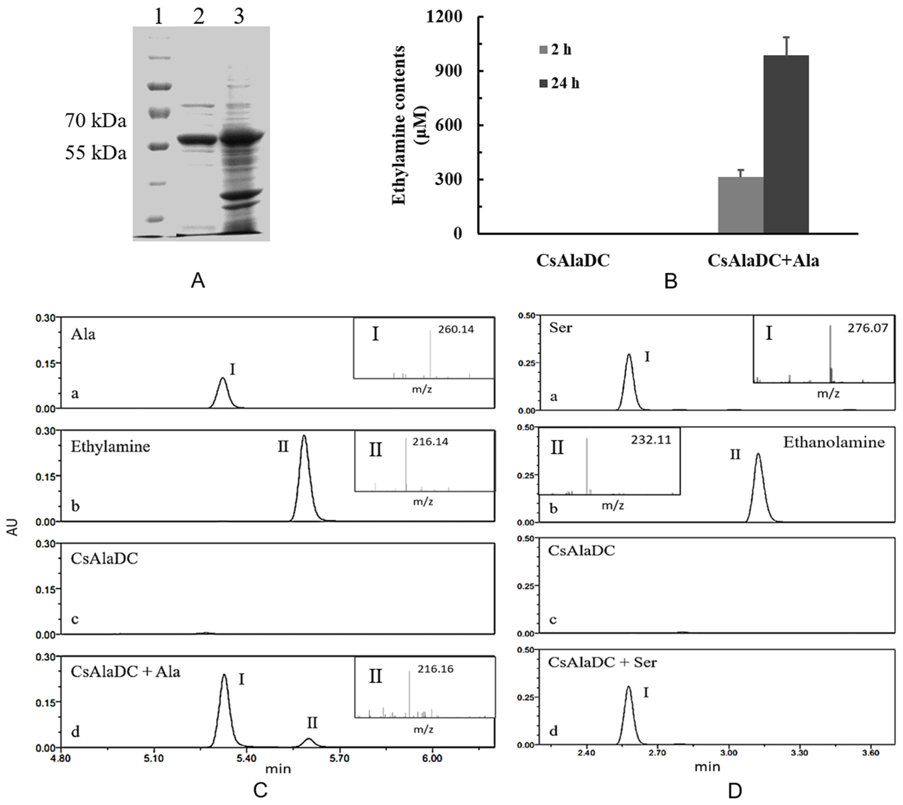 Molecules 24 00540 g005