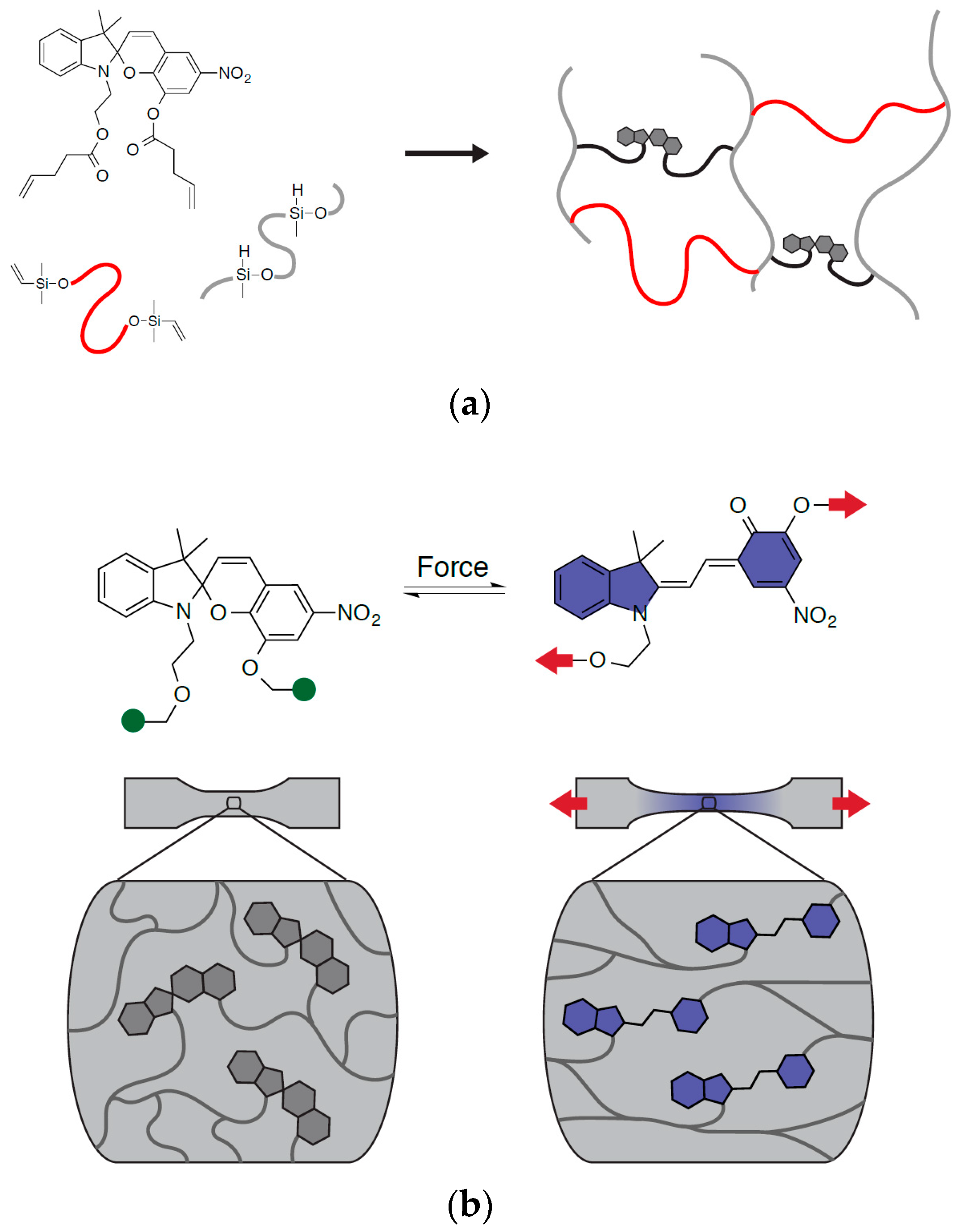 Molecules 24 00542 g001
