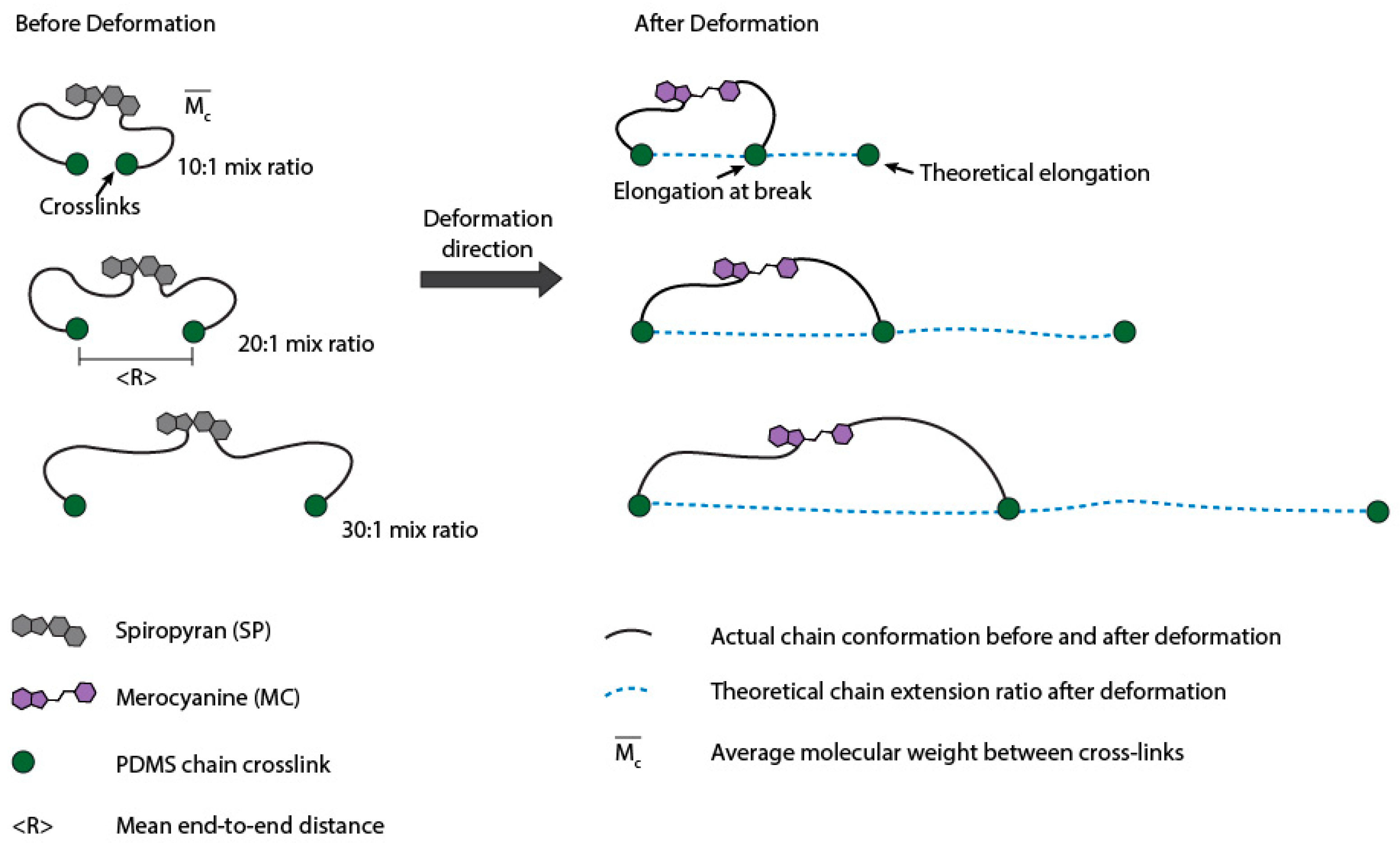 Molecules 24 00542 g004