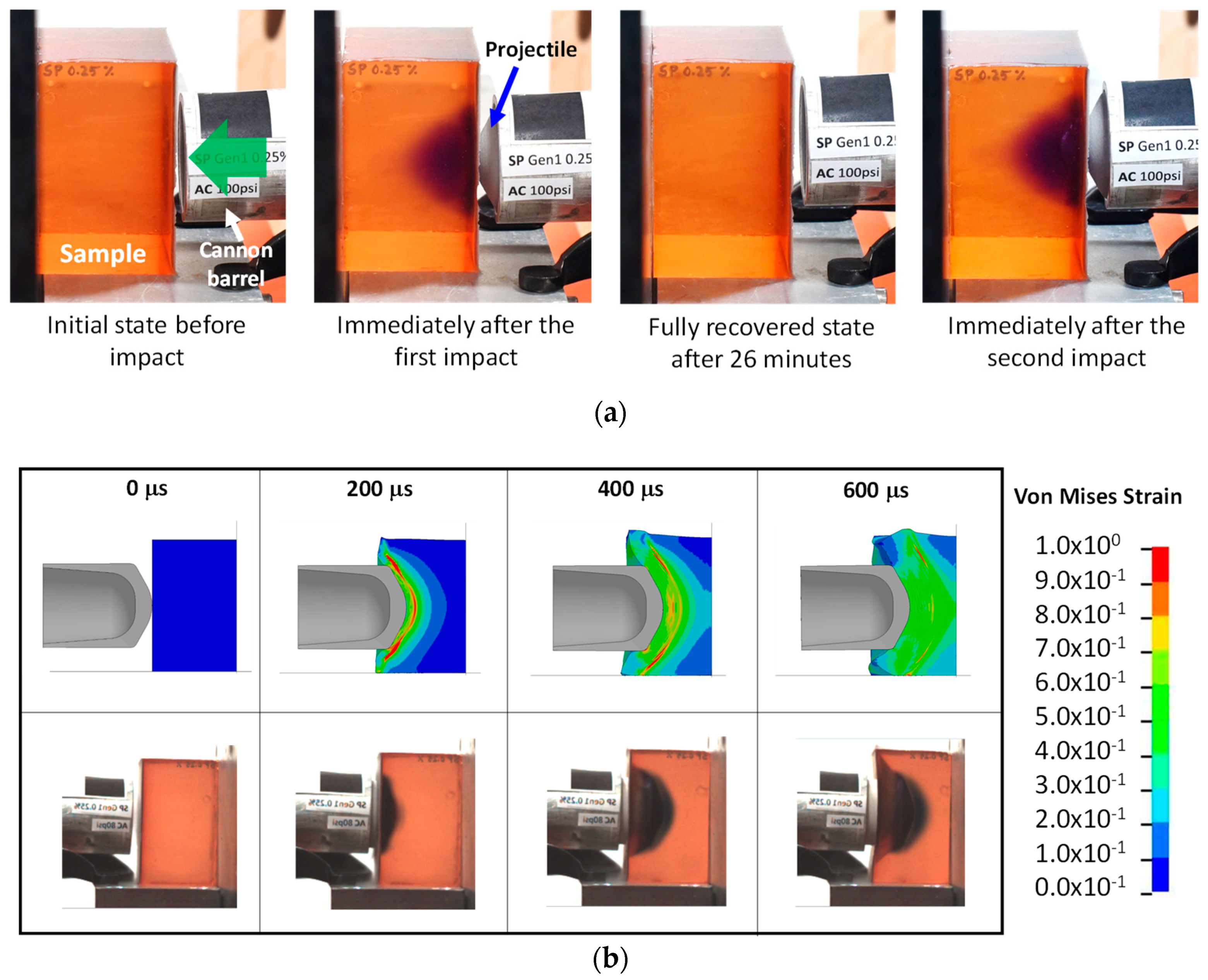 Molecules 24 00542 g005