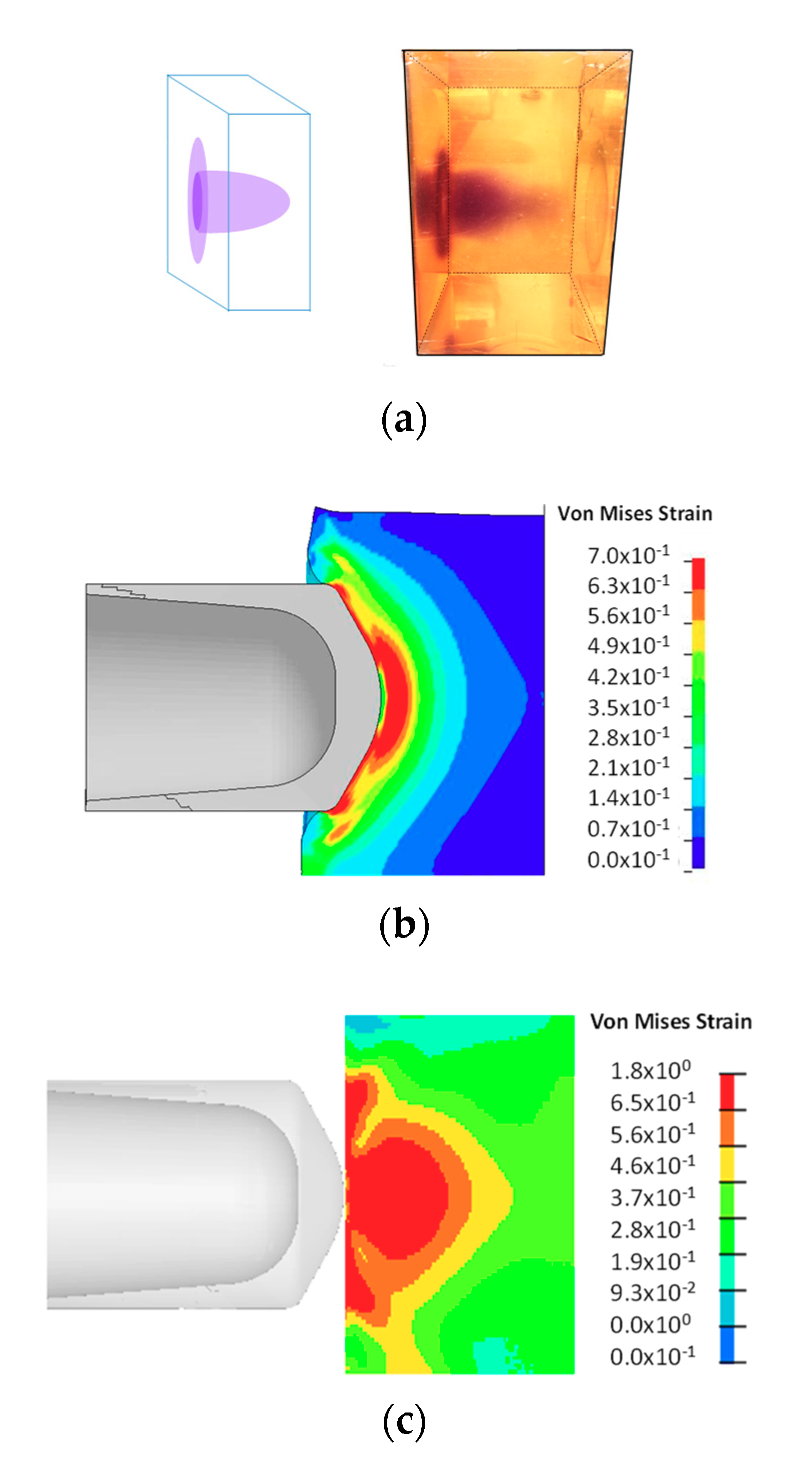 Molecules 24 00542 g006