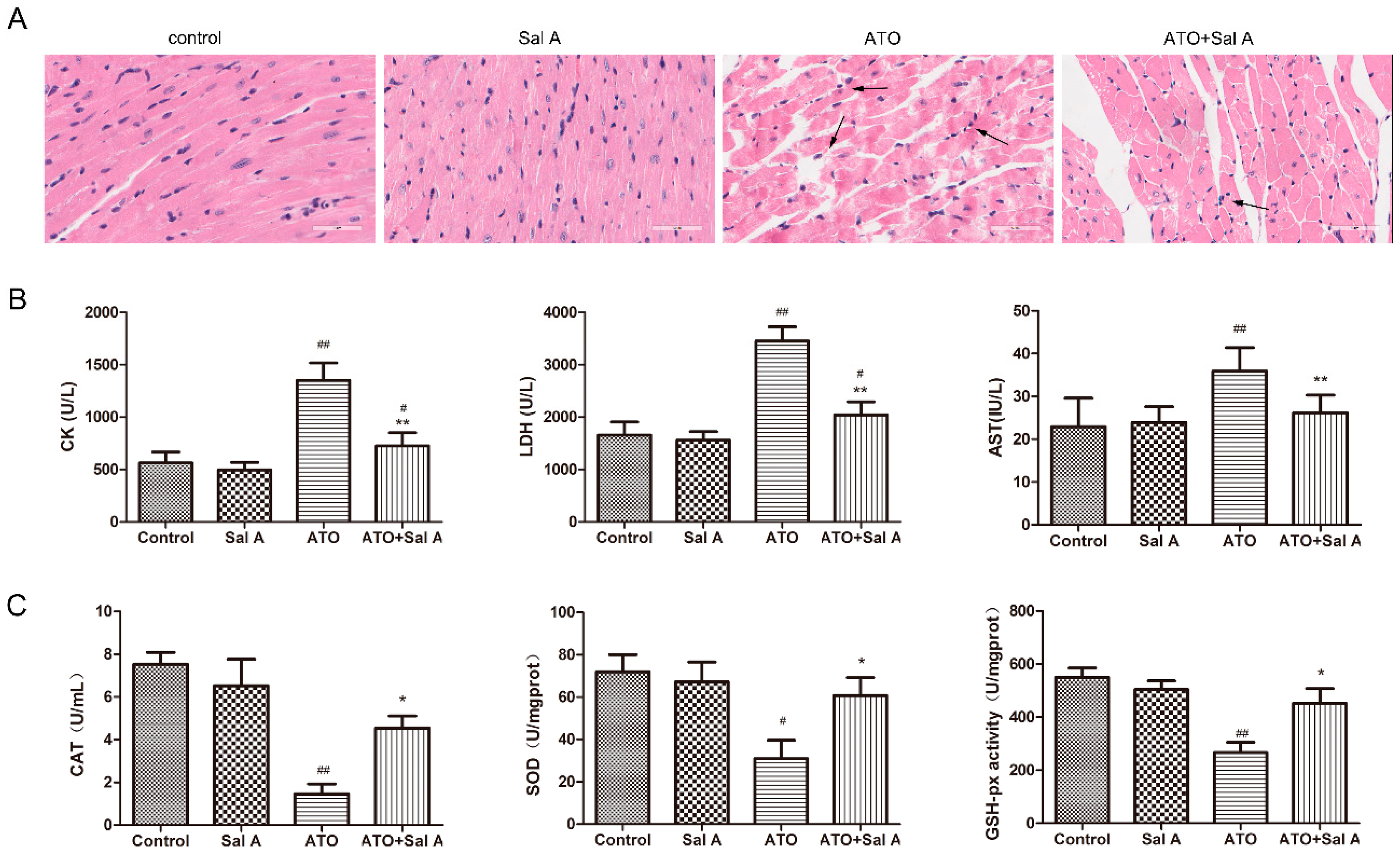 Molecules 24 00543 g003