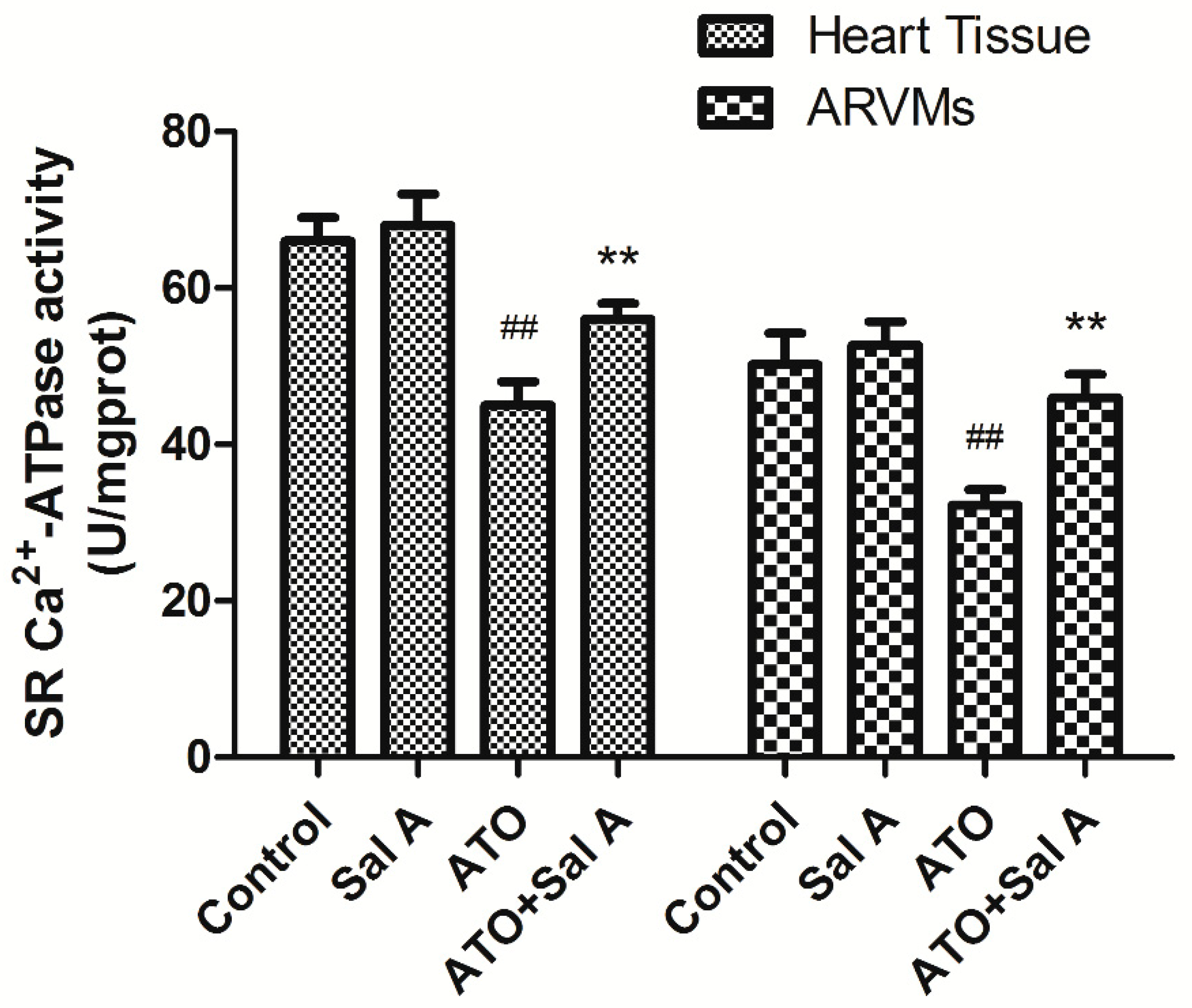 Molecules 24 00543 g006