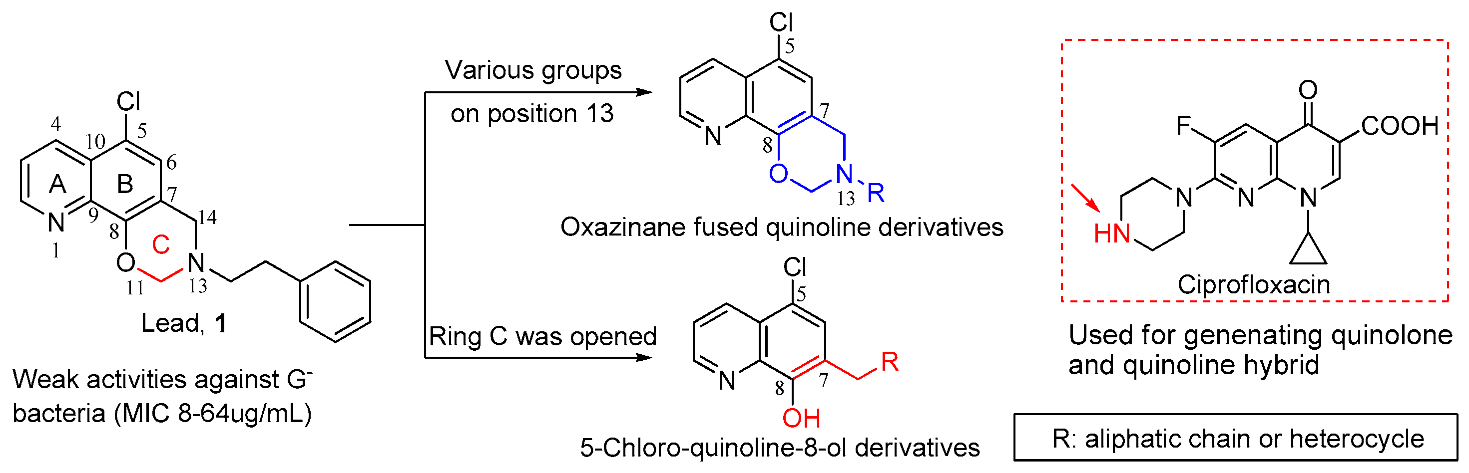Molecules 24 00548 g001 Molecules 24 00548 g001