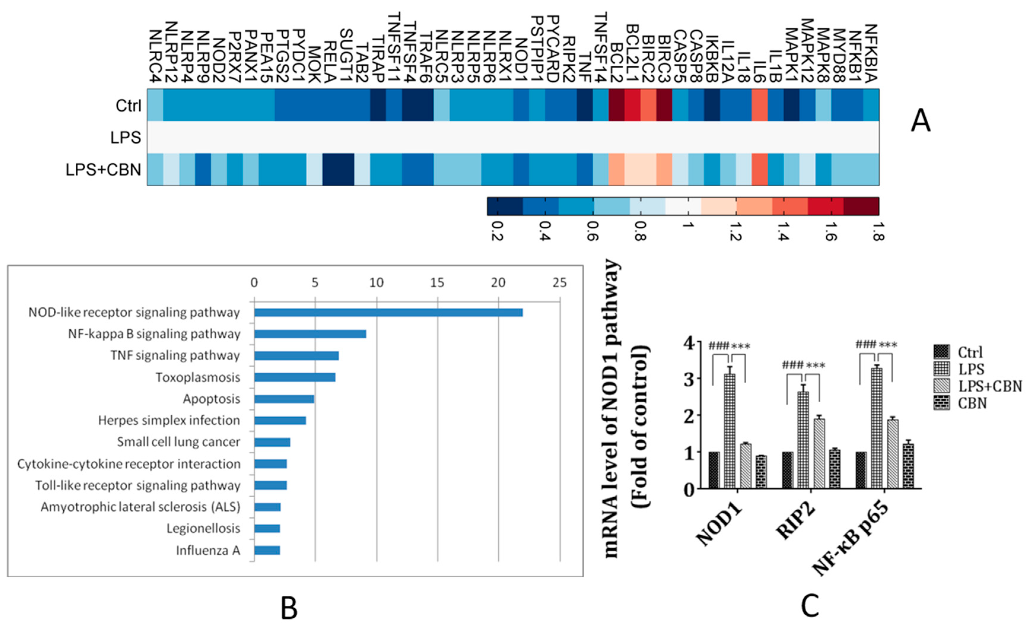 Molecules 24 00549 g002