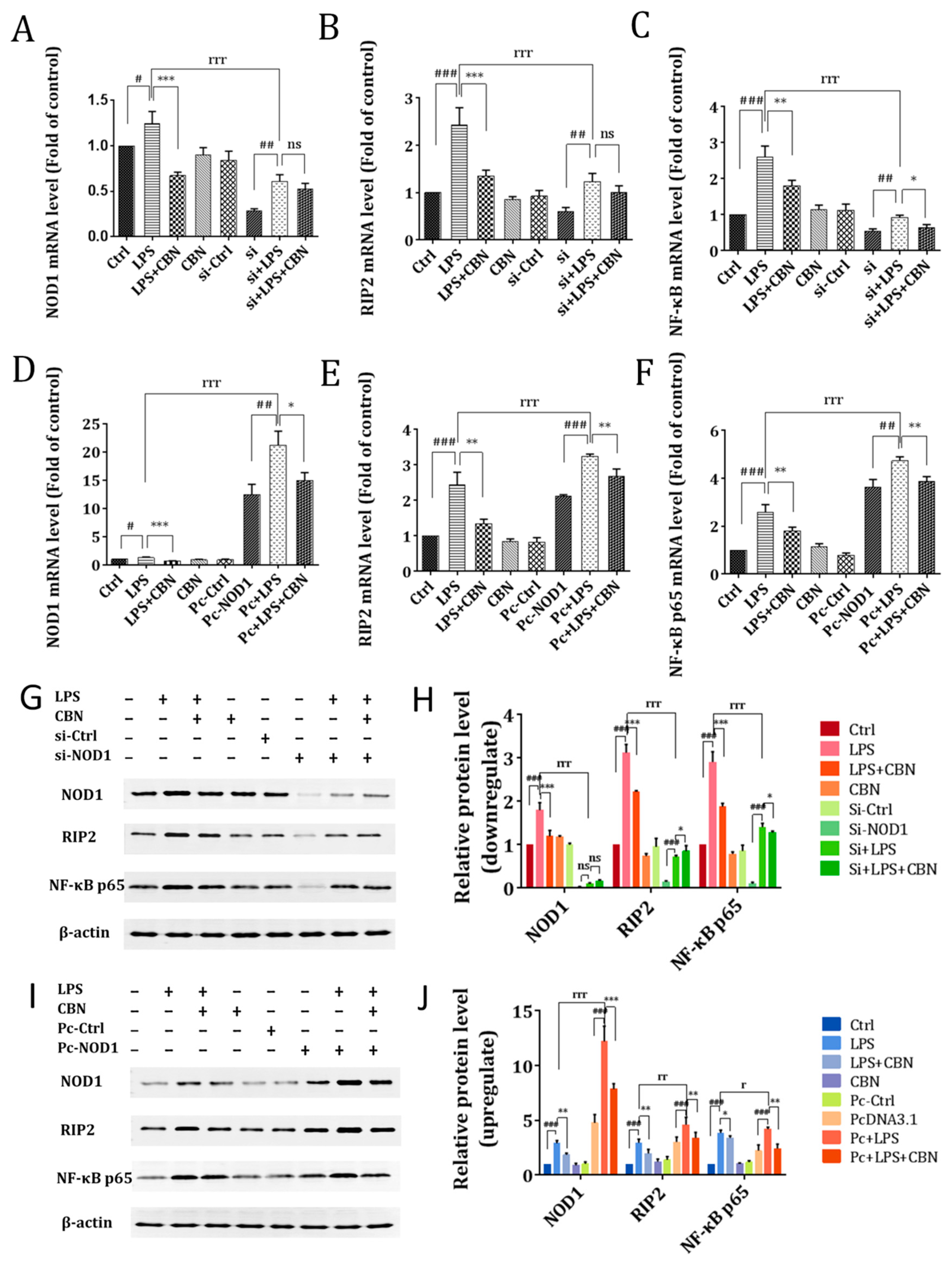 Molecules 24 00549 g003