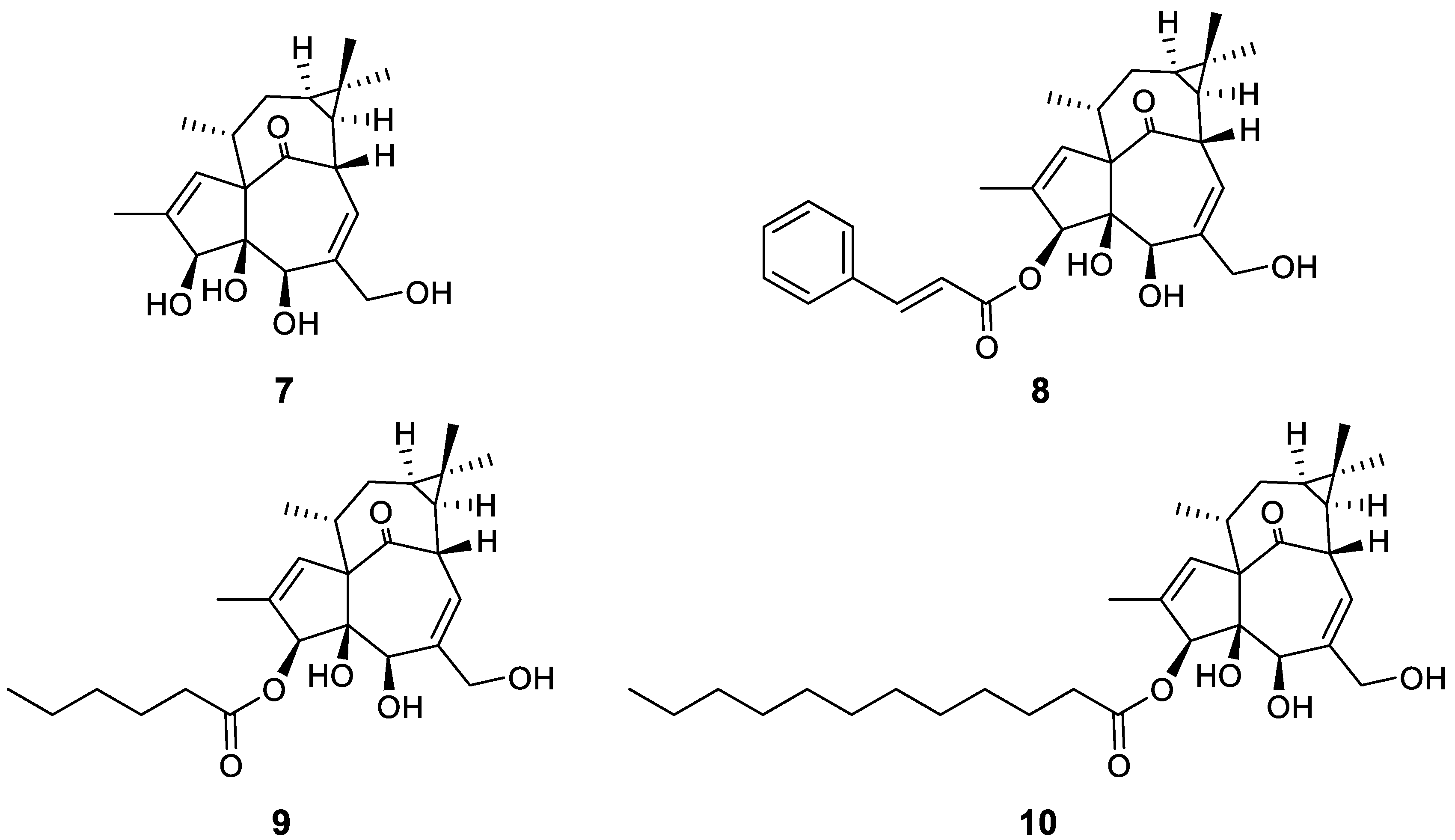 Molecules 24 00550 g006