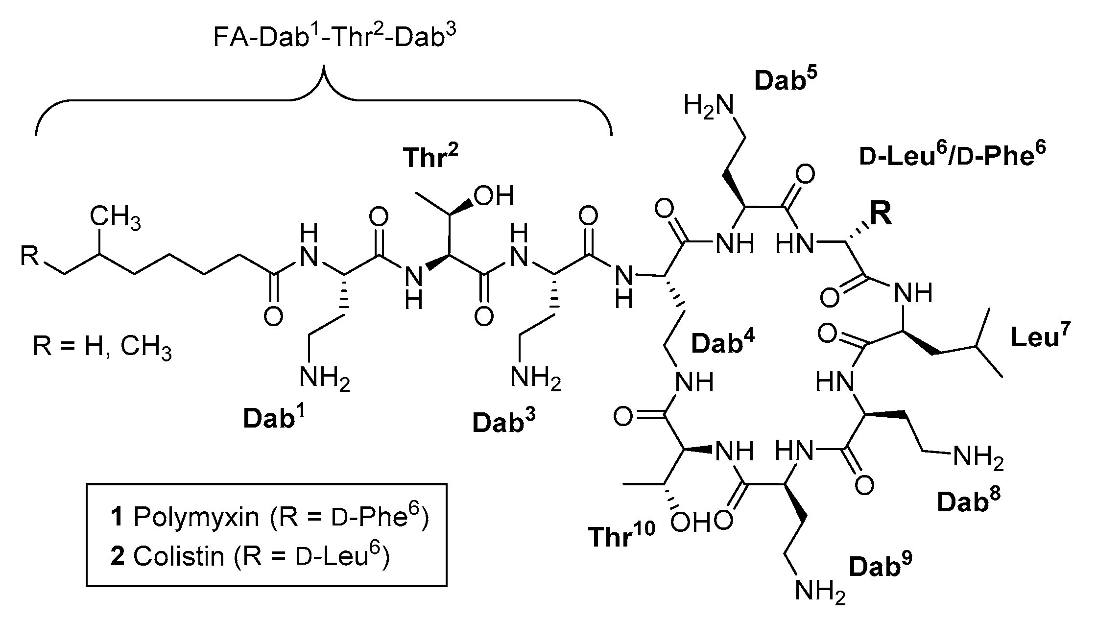 Molecules 24 00553 g001 Molecules 24 00553 g001