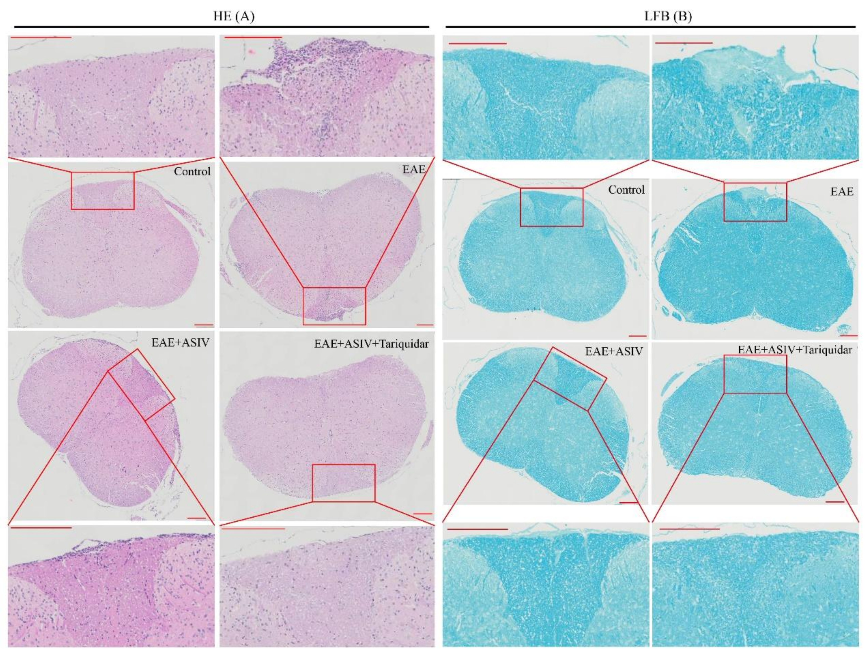 Molecules 24 00561 g006