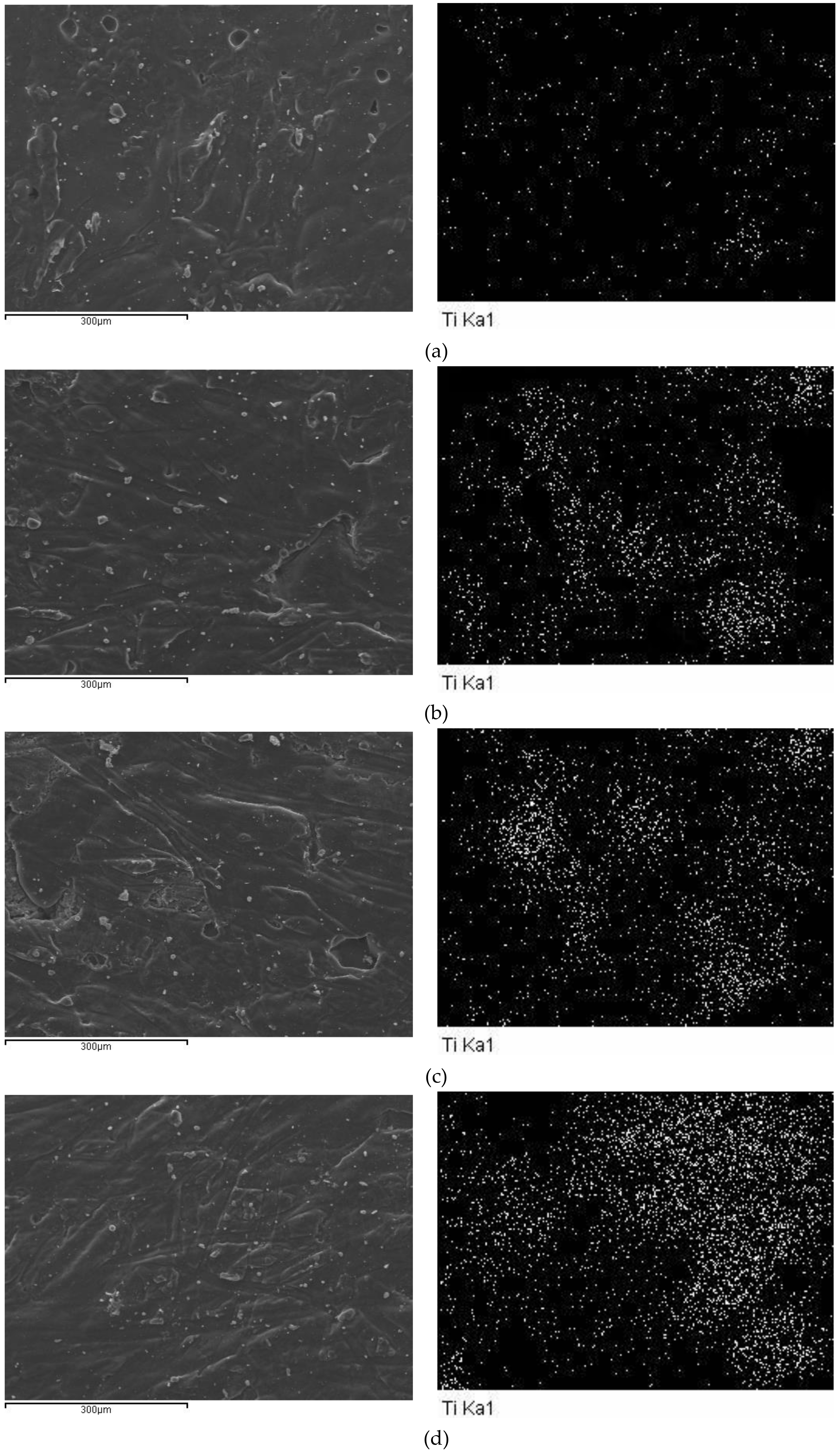 Molecules 24 00564 g001