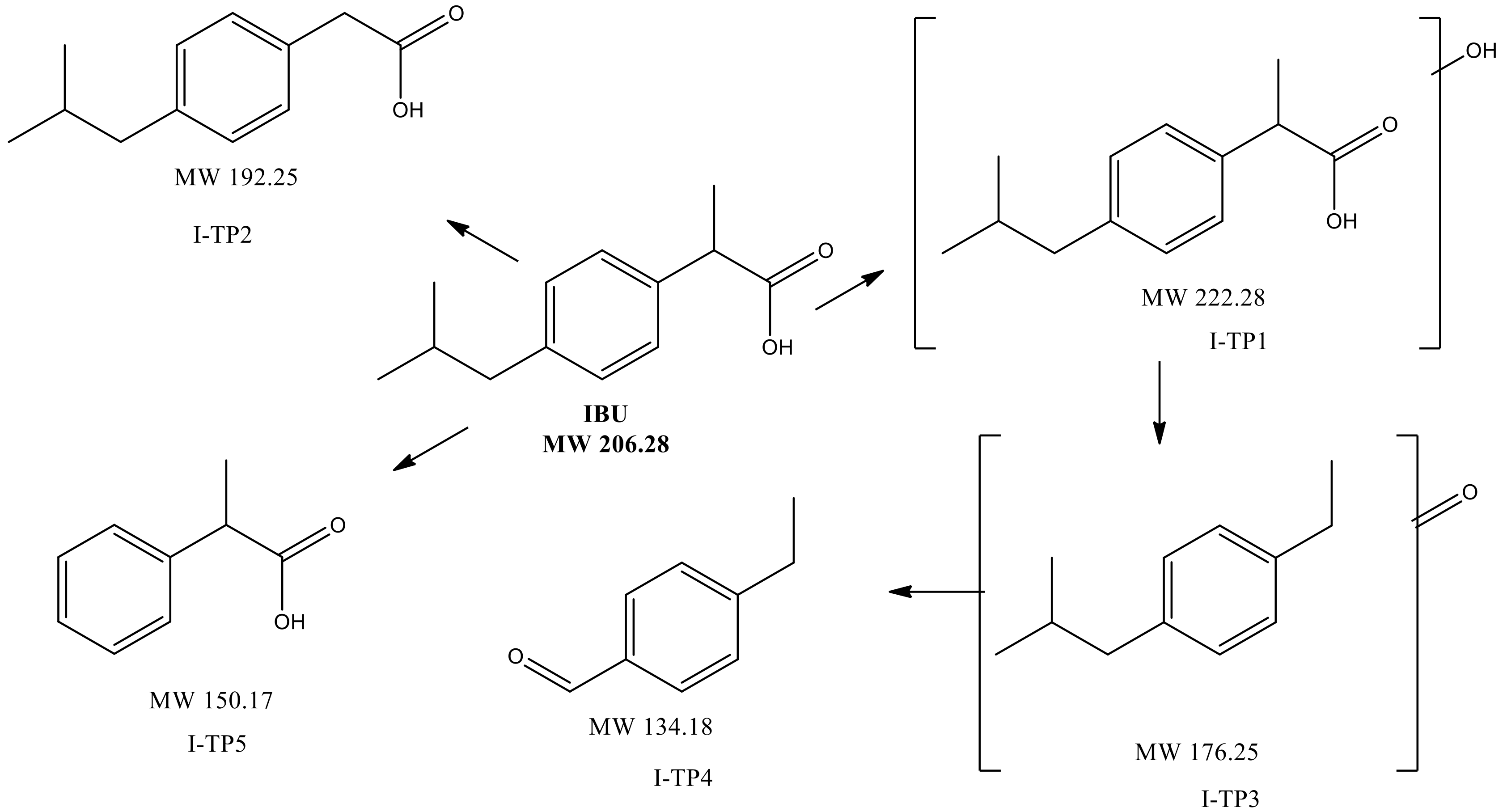 Molecules 24 00564 g008