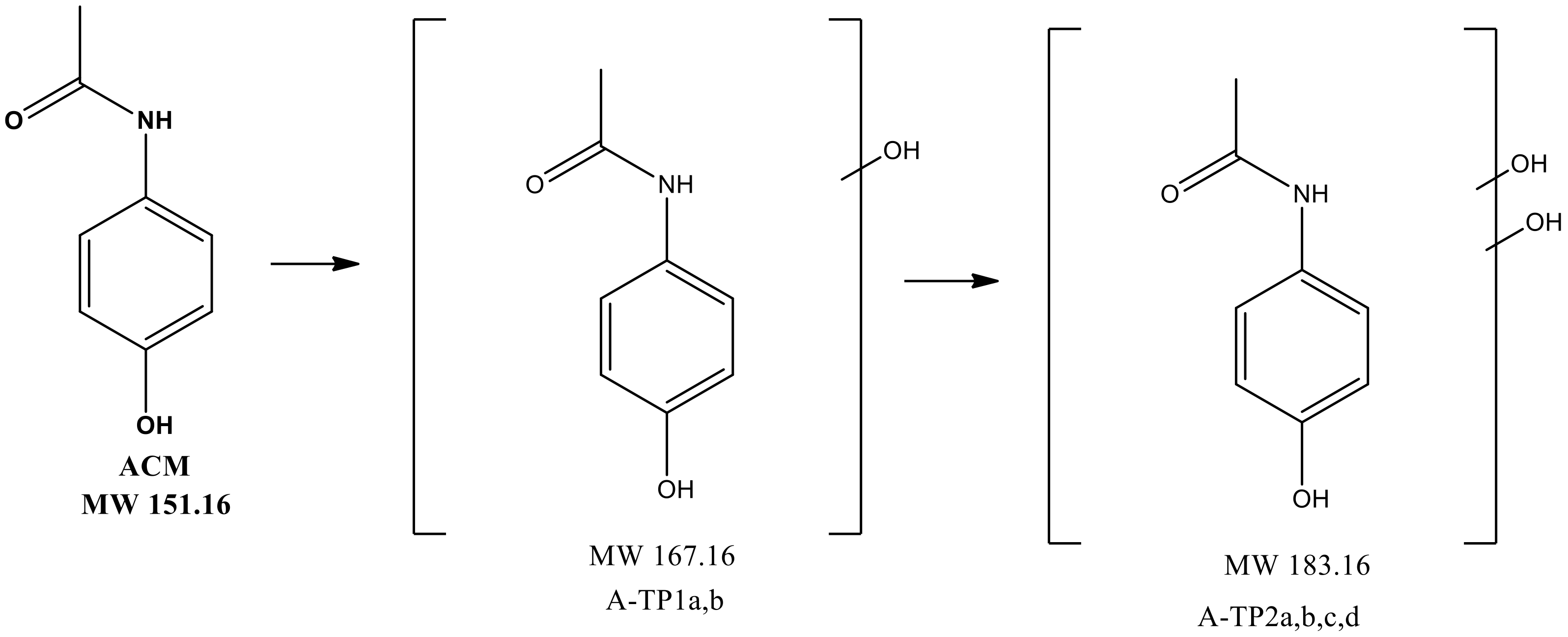Molecules 24 00564 g012