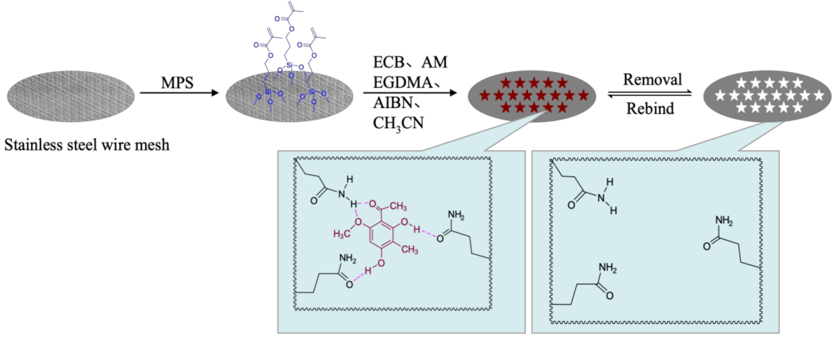 Molecules 24 00565 g001