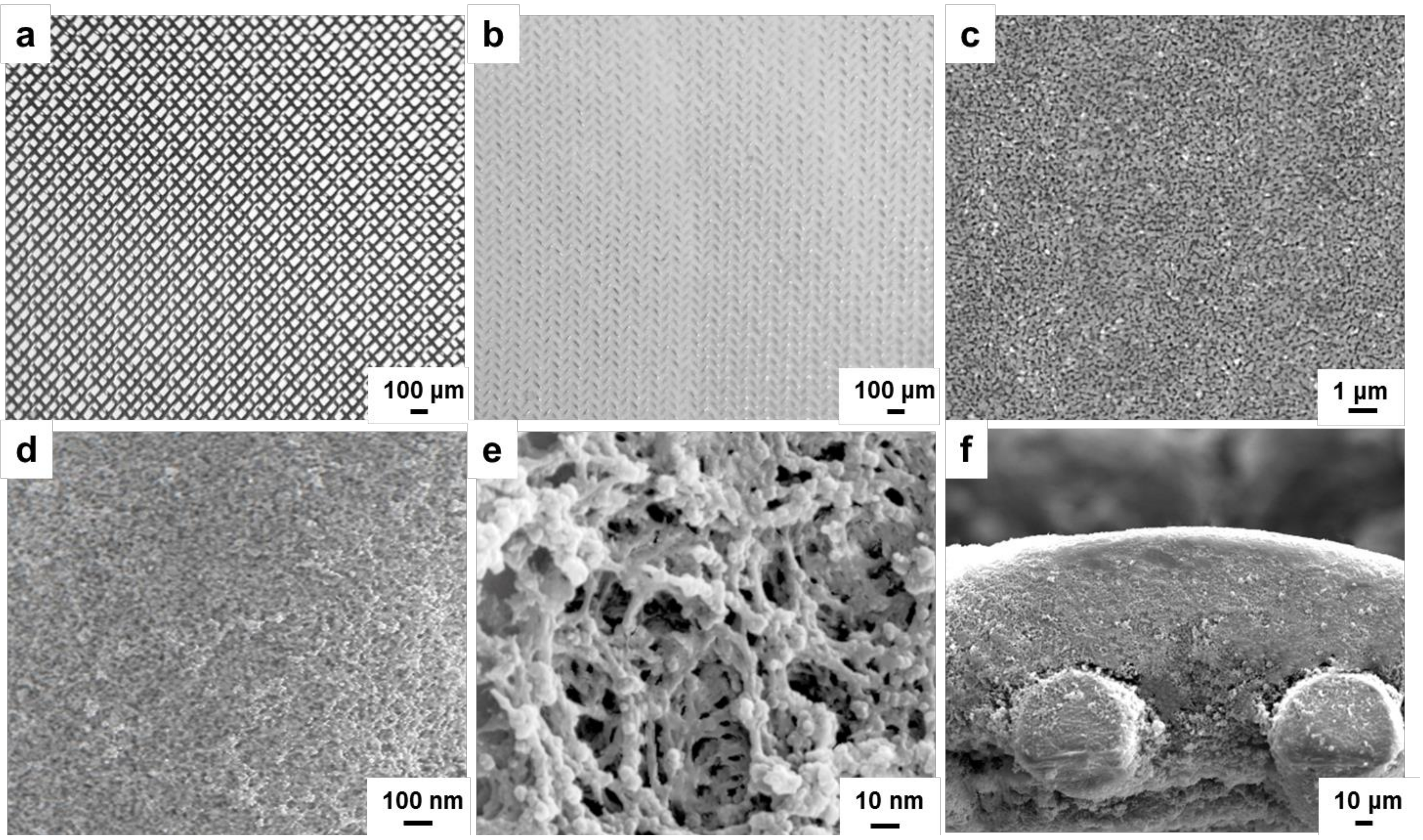 Molecules 24 00565 g007