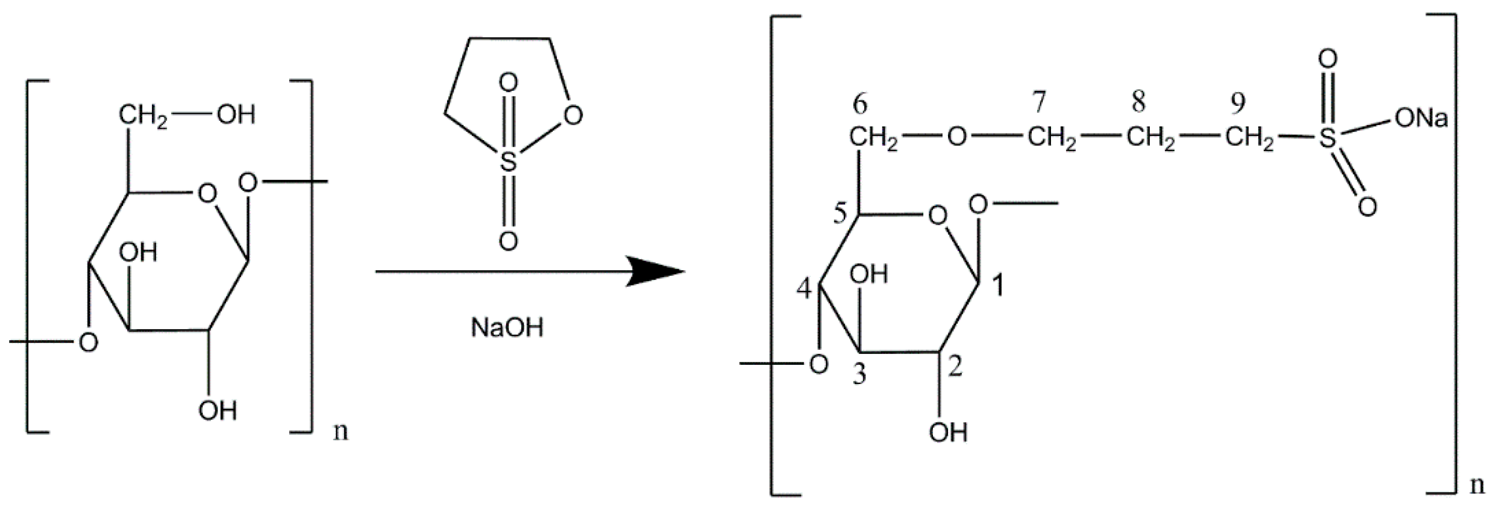 Molecules 24 00574 g001