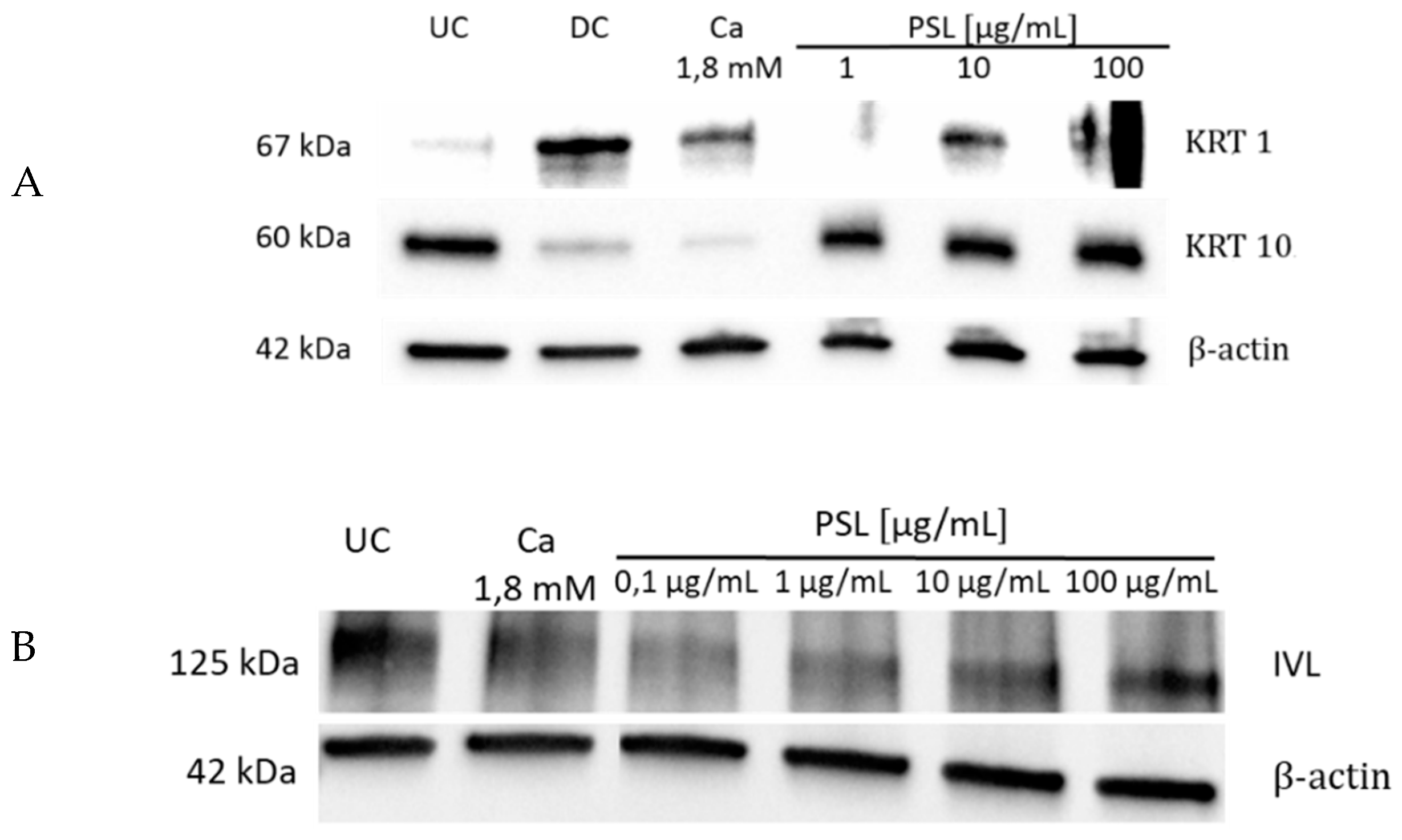 Molecules 24 00574 g003