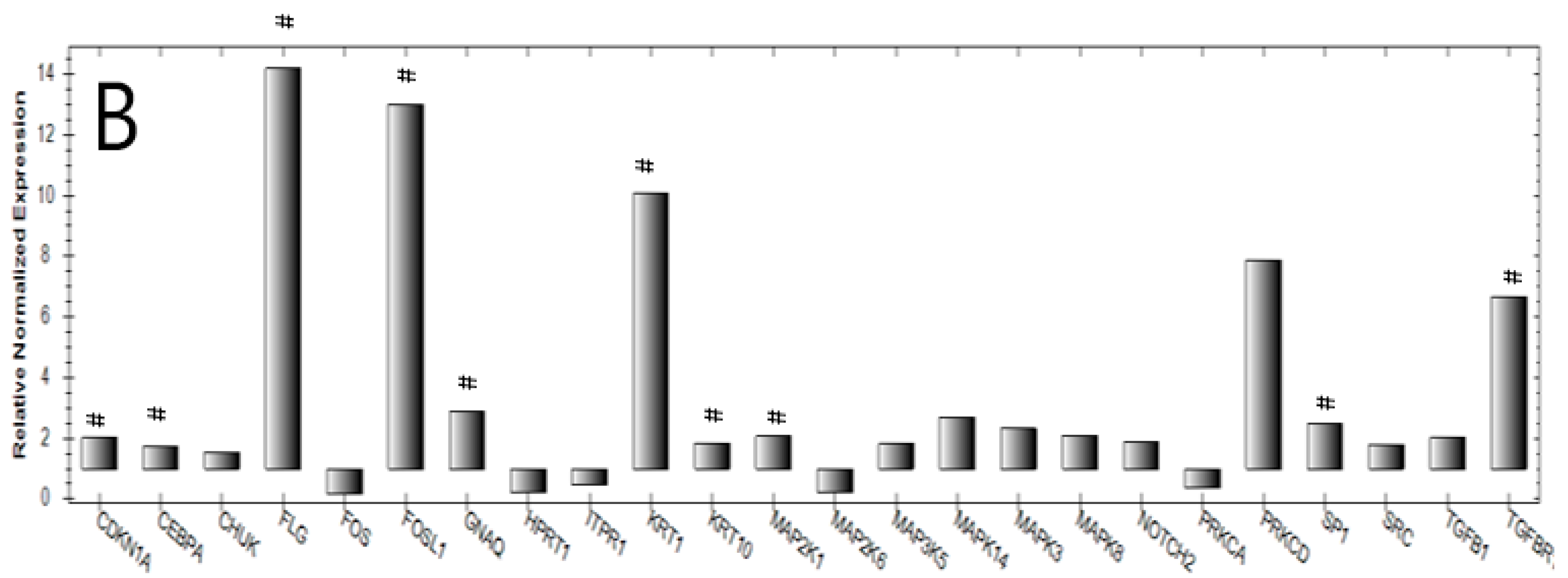 Molecules 24 00574 g005b