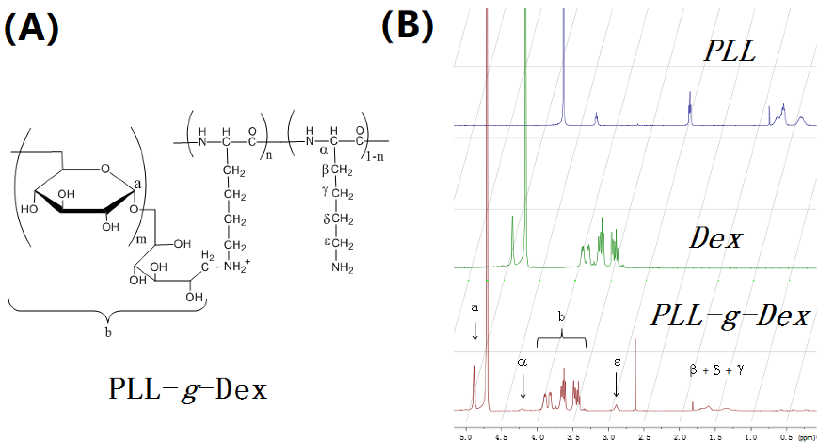 Molecules 24 00575 g001