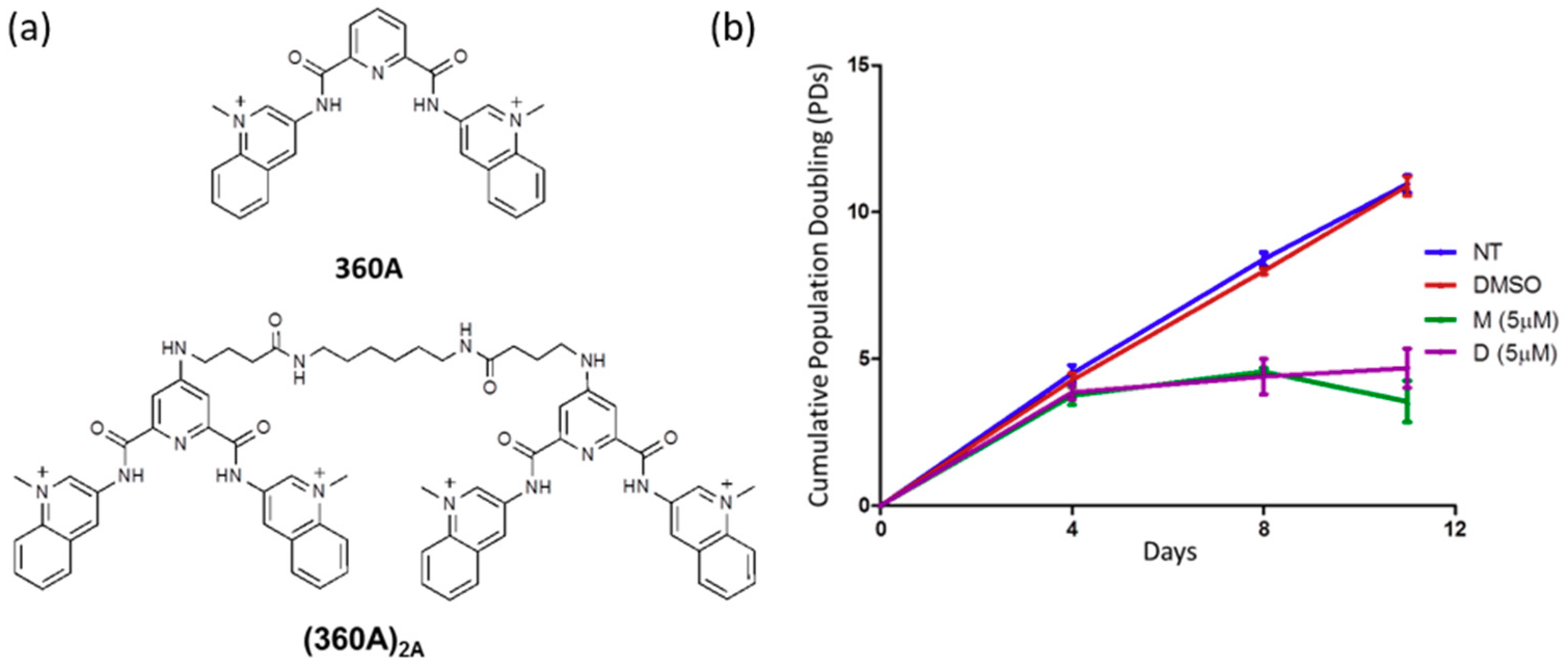 Molecules 24 00577 g001
