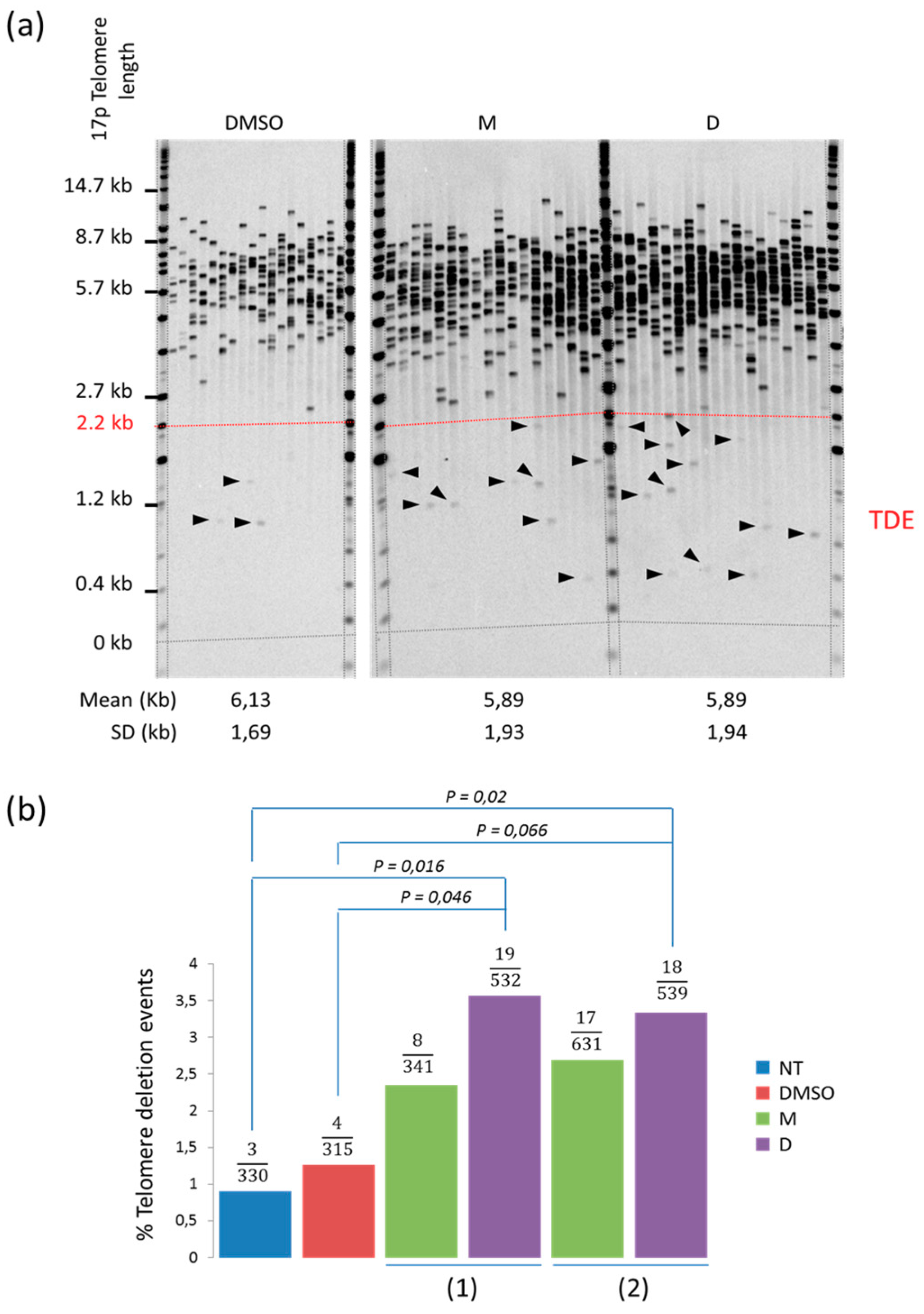 Molecules 24 00577 g003