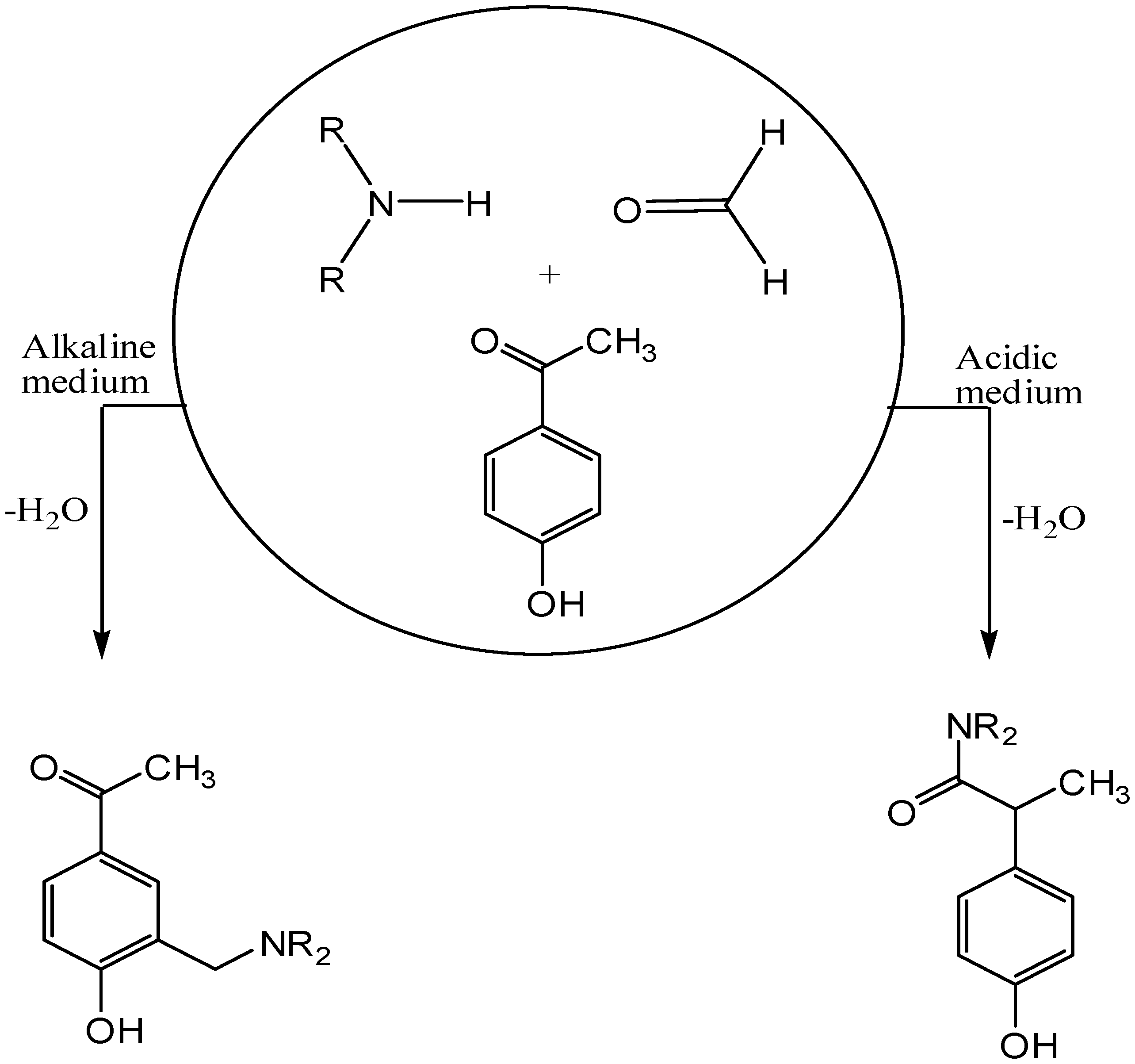 Molecules 24 00590 sch001 Molecules 24 00590 sch001