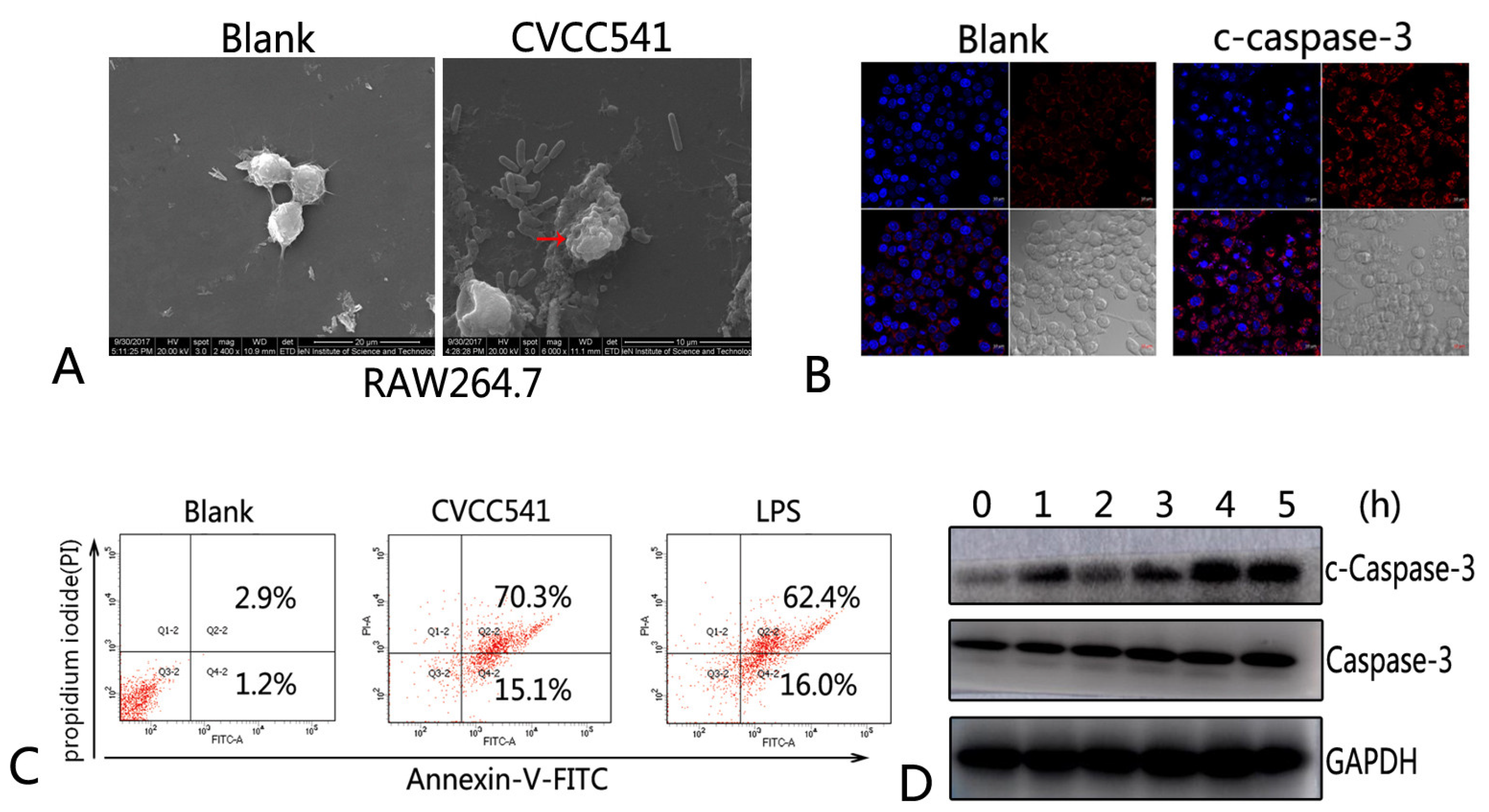 Molecules 24 00596 g002