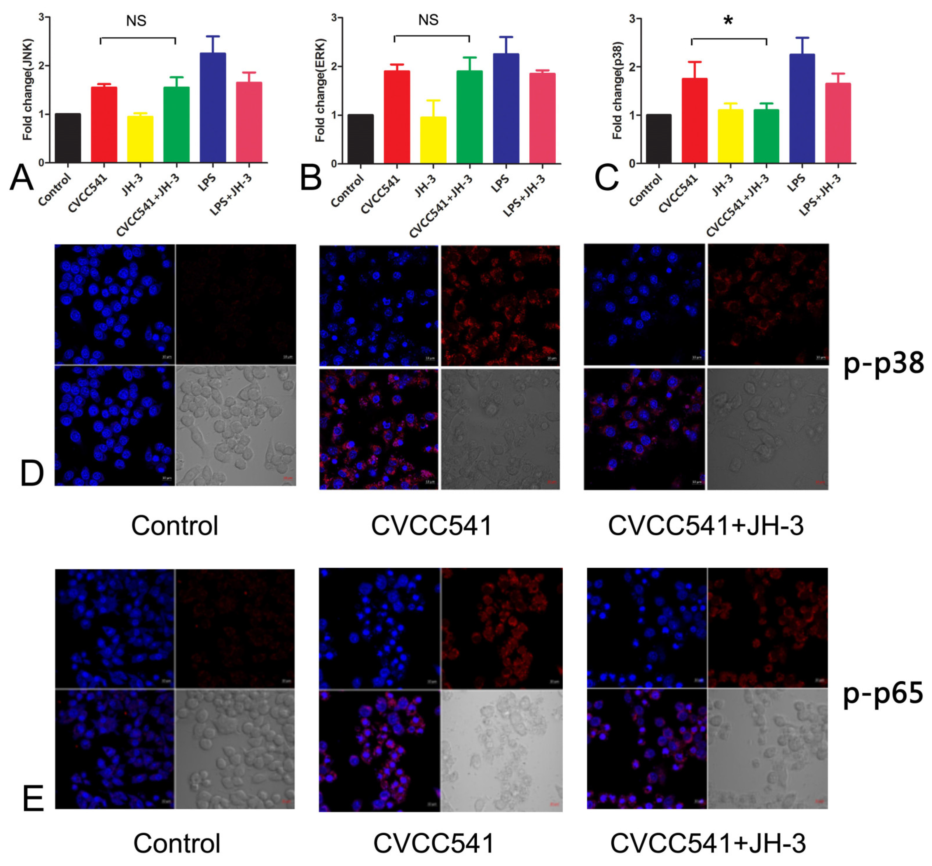 Molecules 24 00596 g004