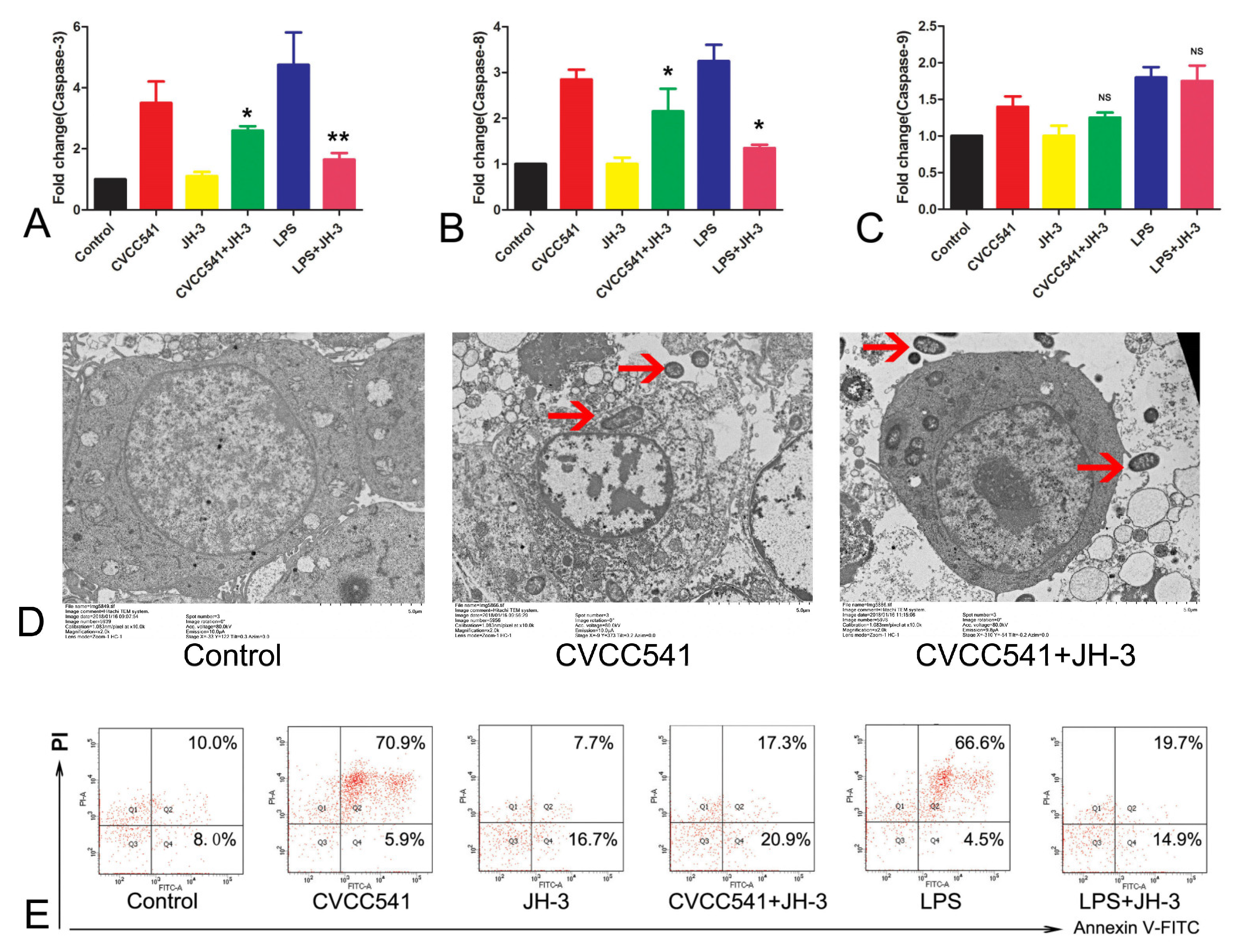 Molecules 24 00596 g006