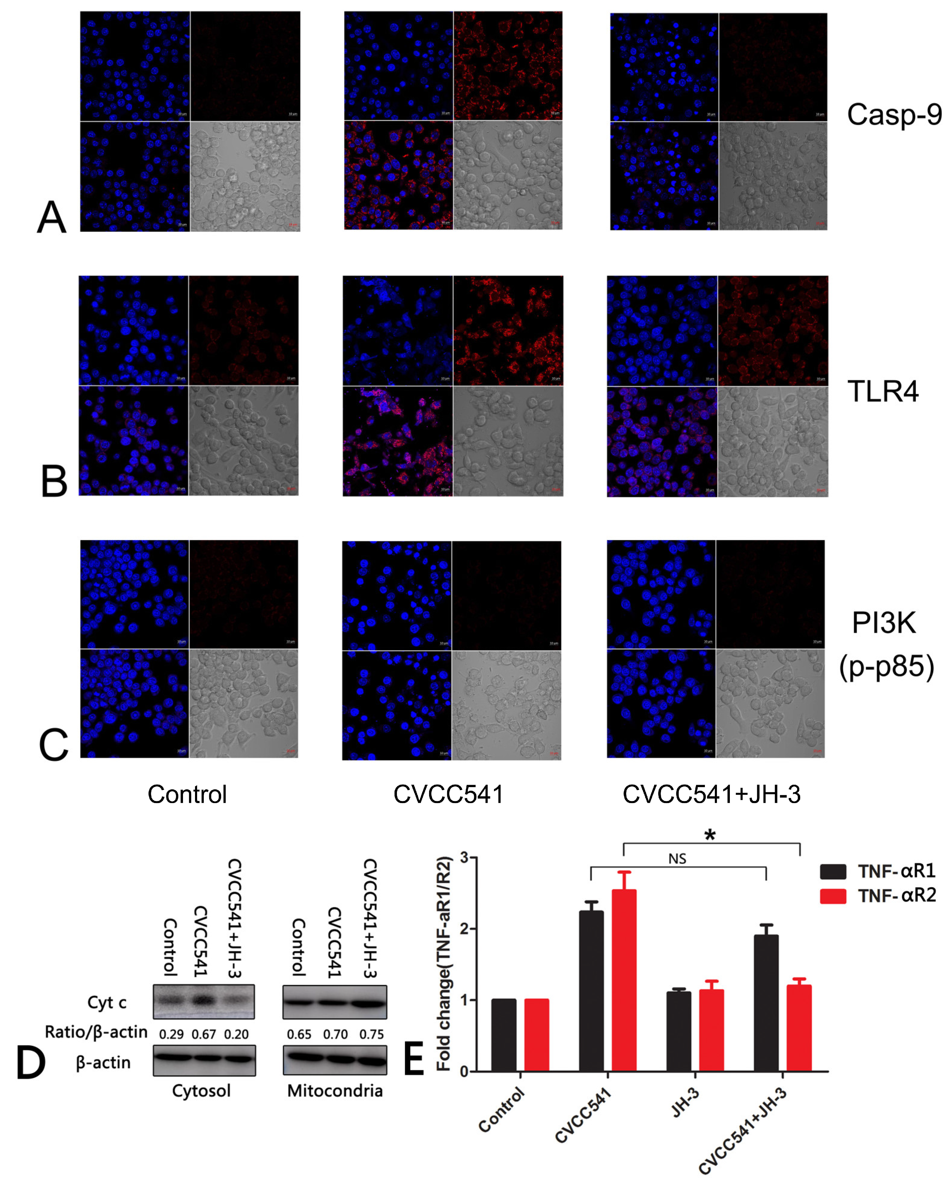 Molecules 24 00596 g007