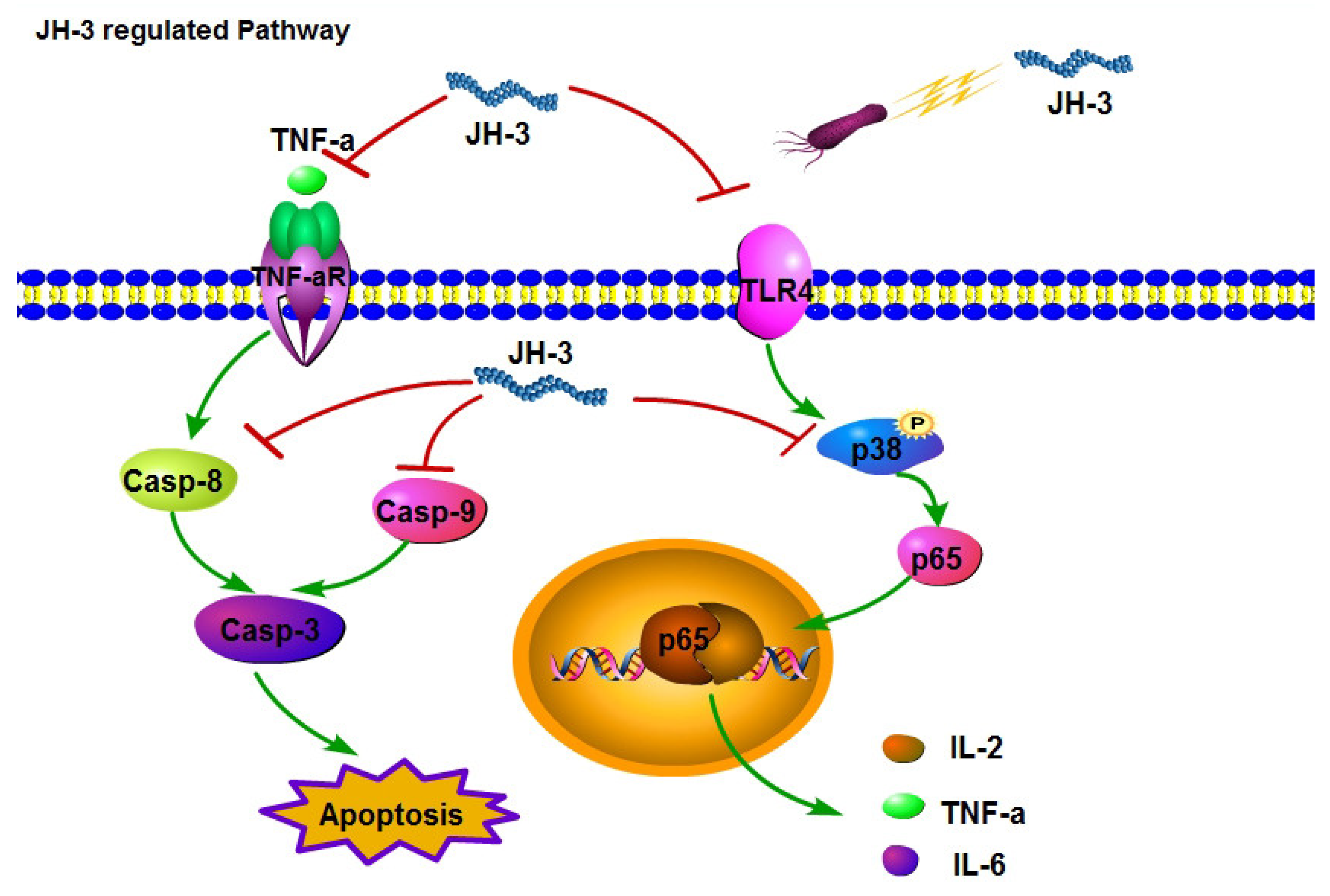 Molecules 24 00596 g008